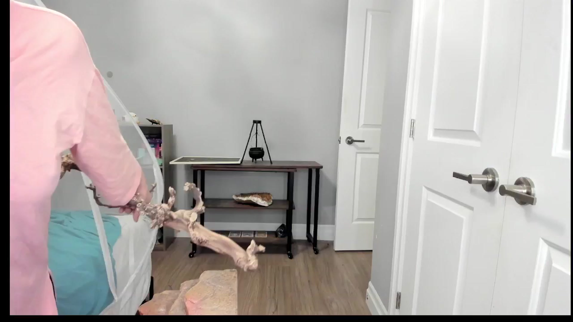 Gallery image thumbnail from Laurel's myfreecams stream on, 05/09/2025, 09:02 image 19 of 20