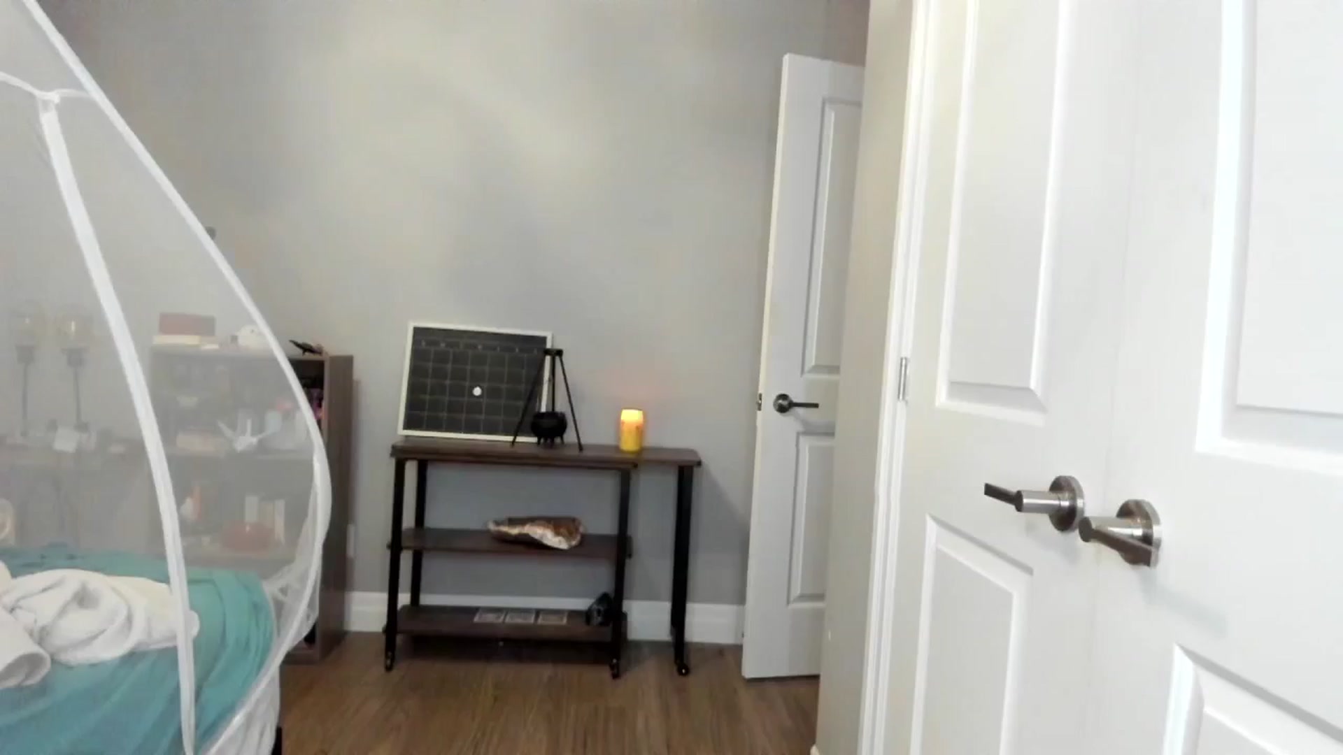 Gallery image thumbnail from Laurel's myfreecams stream on, 05/15/2025, 04:04 image 1 of 20