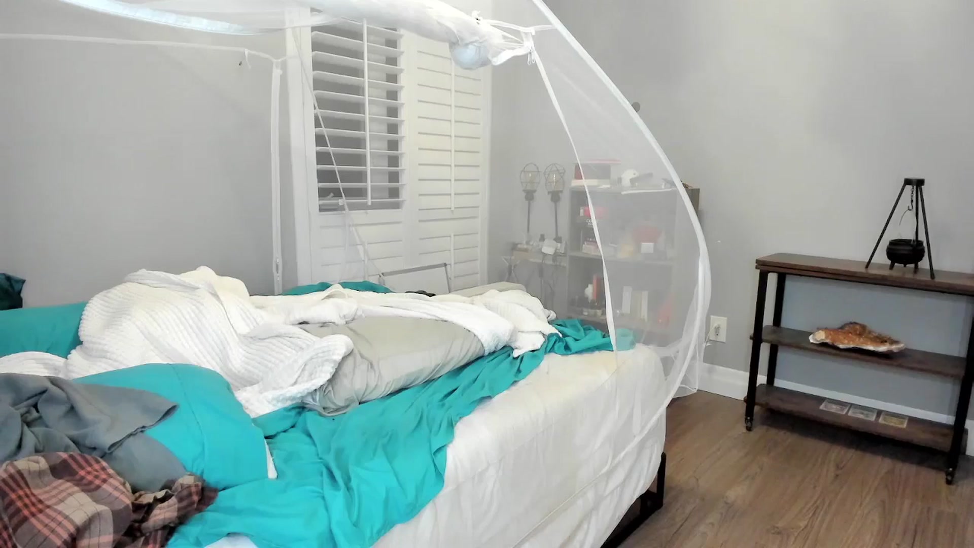 Gallery image thumbnail from Laurel's myfreecams stream on, 06/06/2025, 07:36 image 10 of 20