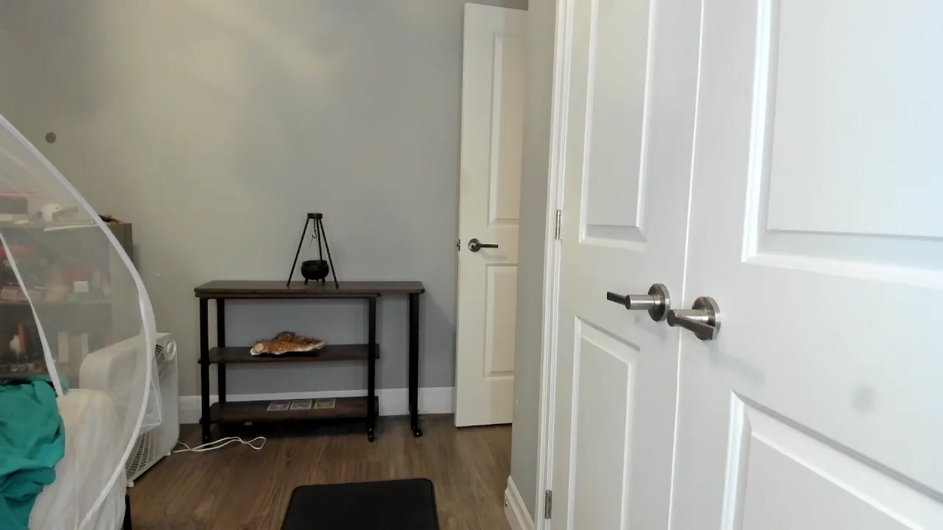 Gallery image thumbnail from Laurel's myfreecams stream on, 06/20/2025, 08:22 image 3 of 20