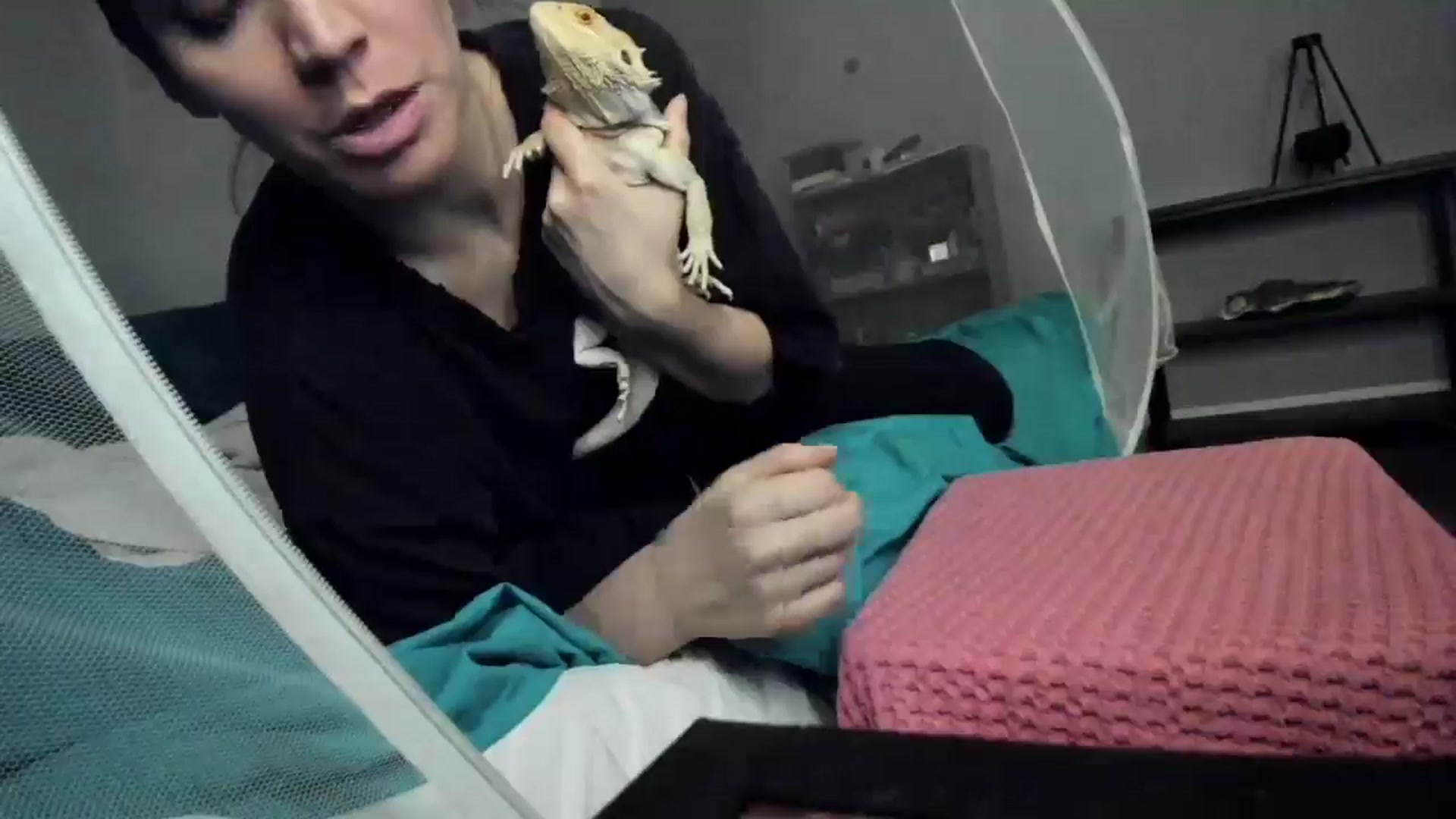 Gallery image thumbnail from Laurel's myfreecams stream on, 06/21/2025, 06:48 image 19 of 20
