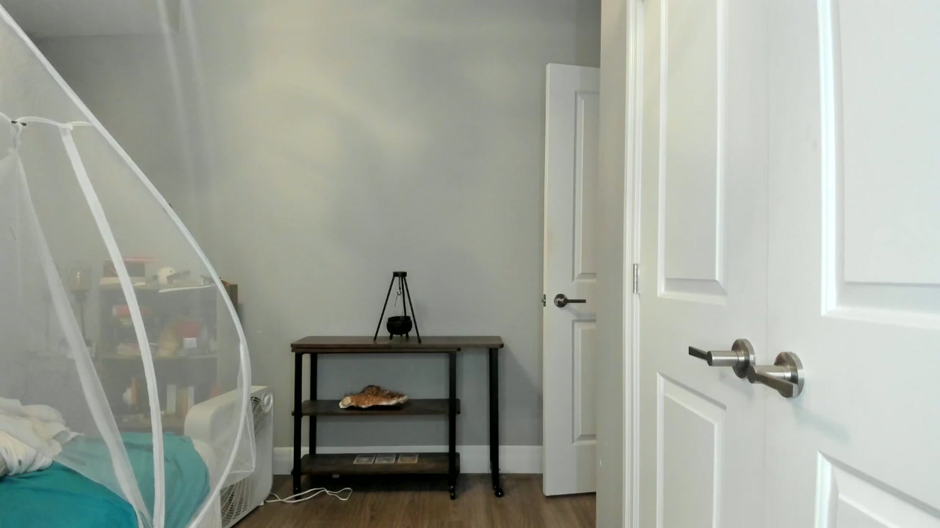 Gallery image thumbnail from Laurel's myfreecams stream on, 06/24/2025, 05:07 image 10 of 20