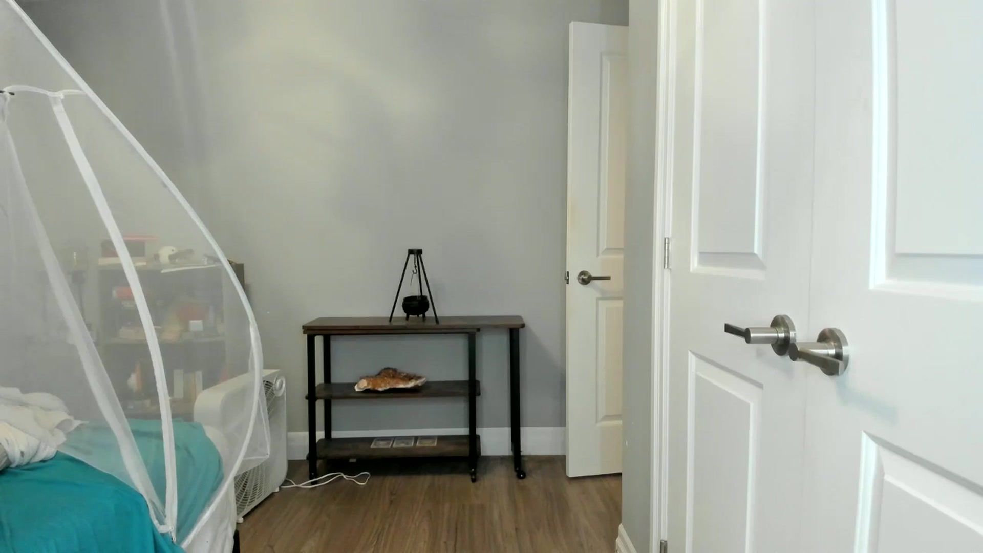 Gallery image thumbnail from Laurel's myfreecams stream on, 06/24/2025, 05:07 image 20 of 20