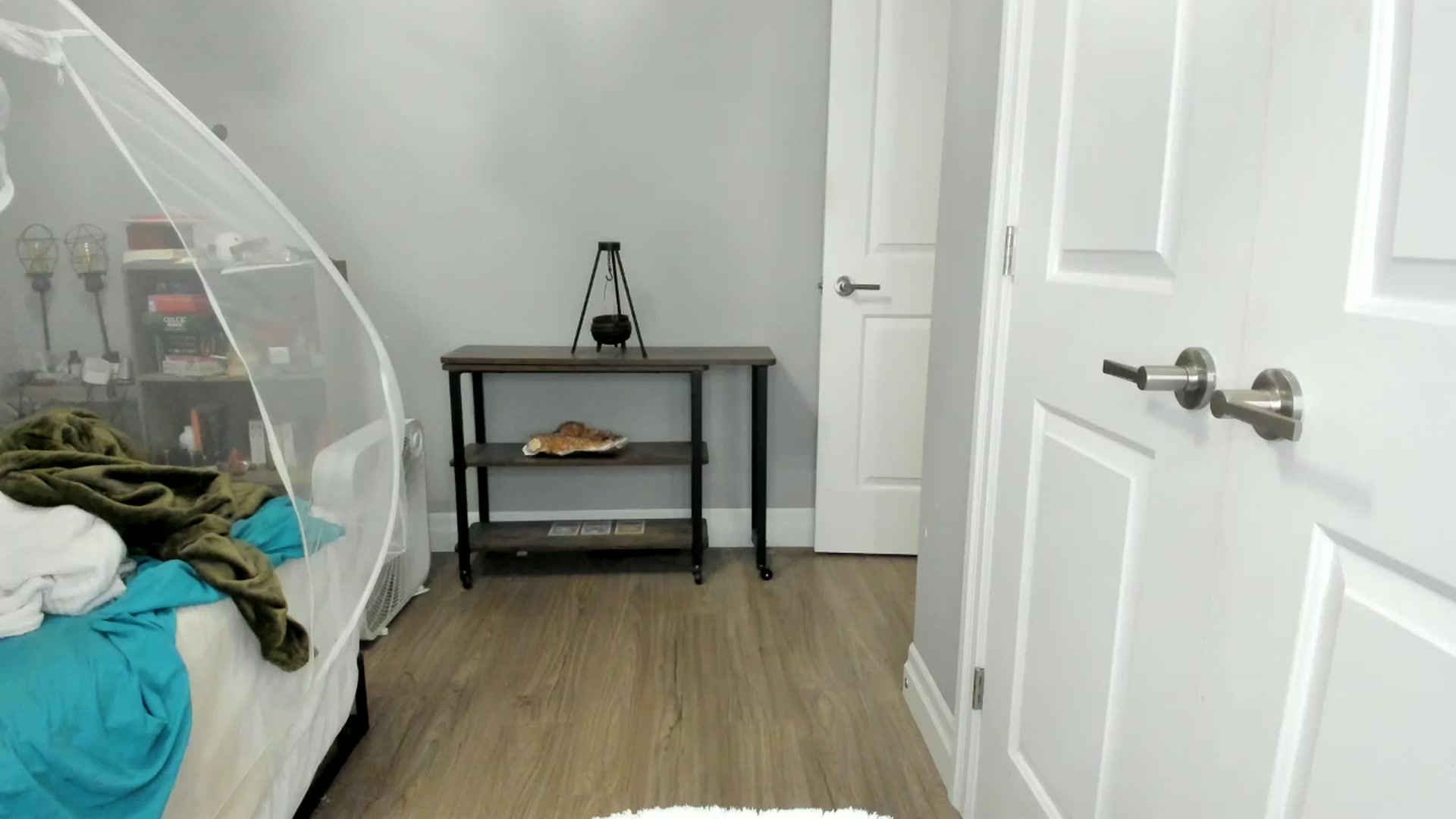 Gallery image thumbnail from Laurel's myfreecams stream on, 06/30/2025, 06:26 image 9 of 20