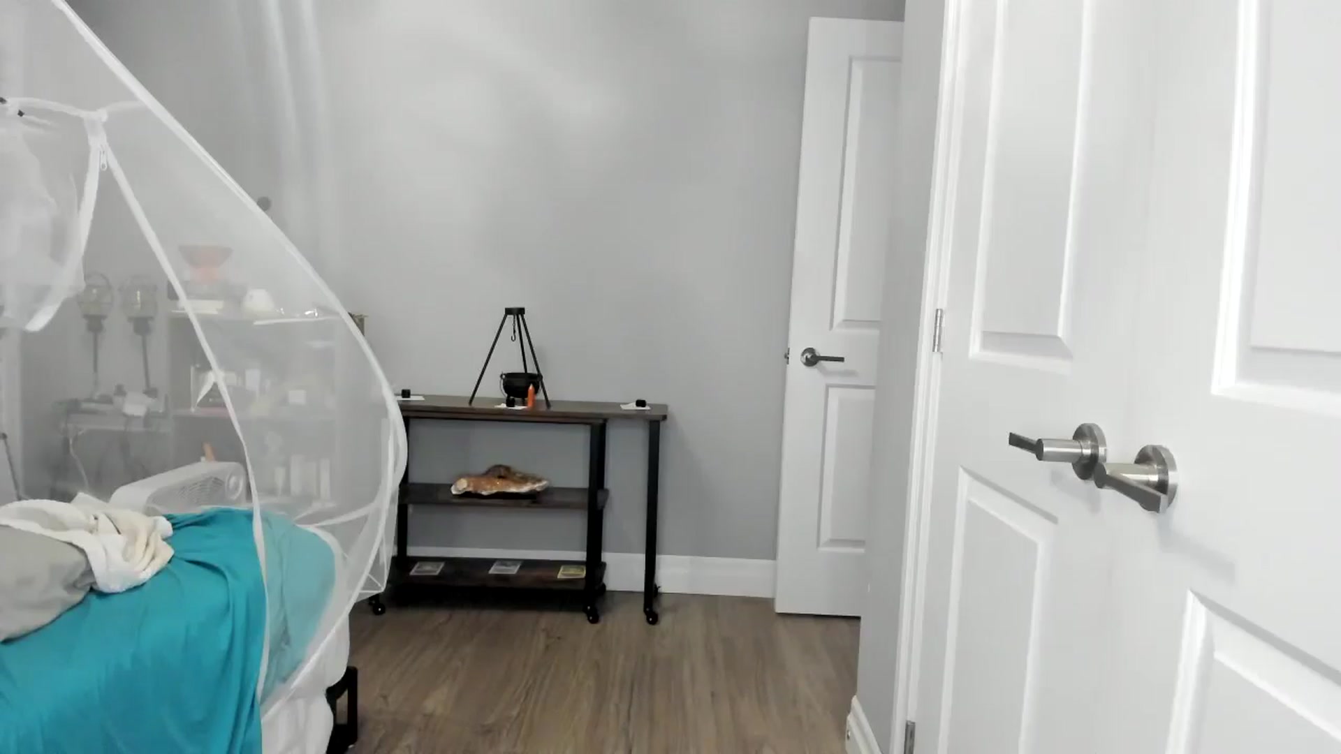 Gallery image thumbnail from Laurel's myfreecams stream on, 07/26/2025, 04:52 image 6 of 20