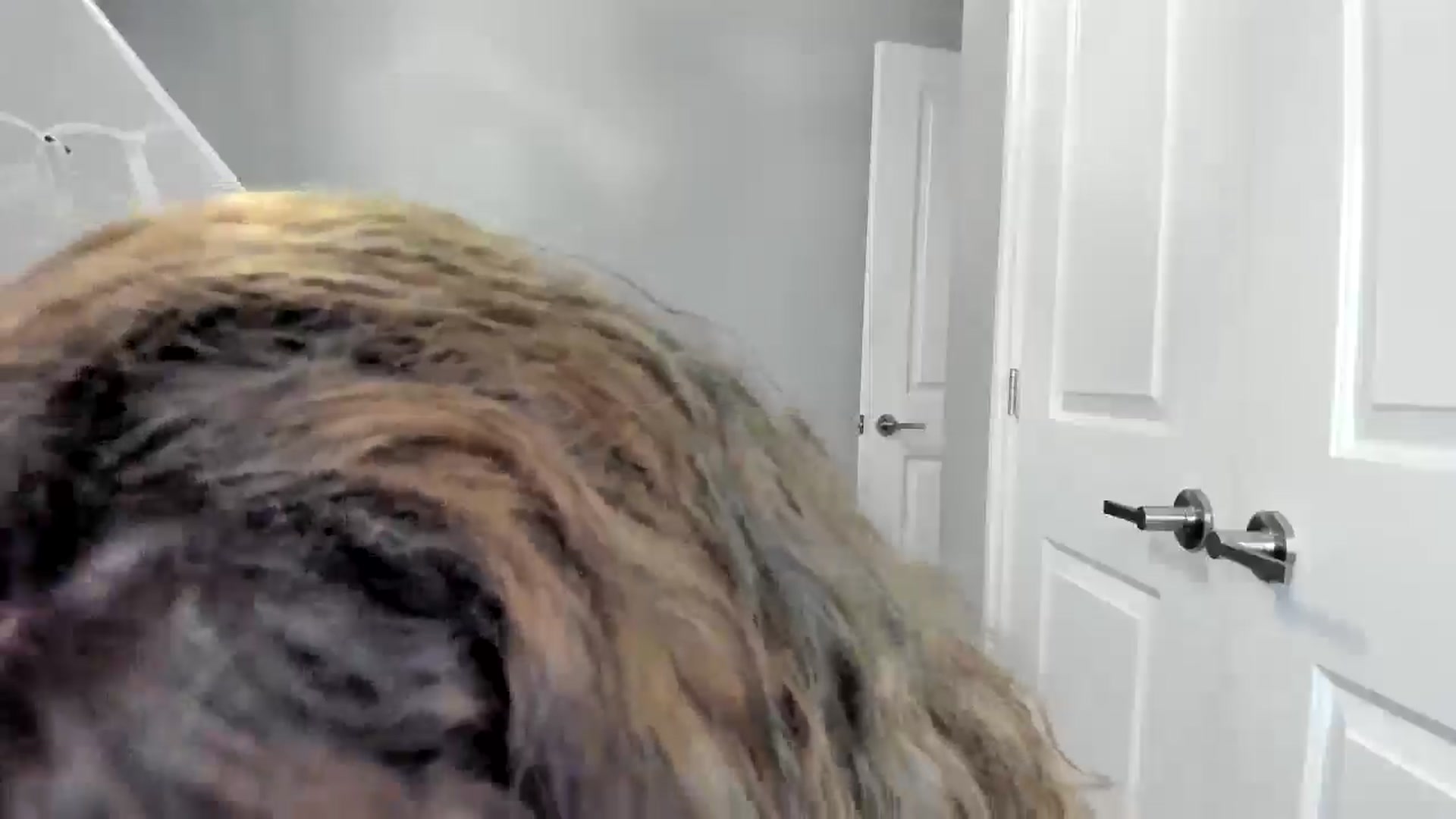 Gallery image thumbnail from Laurel's myfreecams stream on, 08/08/2025, 04:45 image 9 of 20