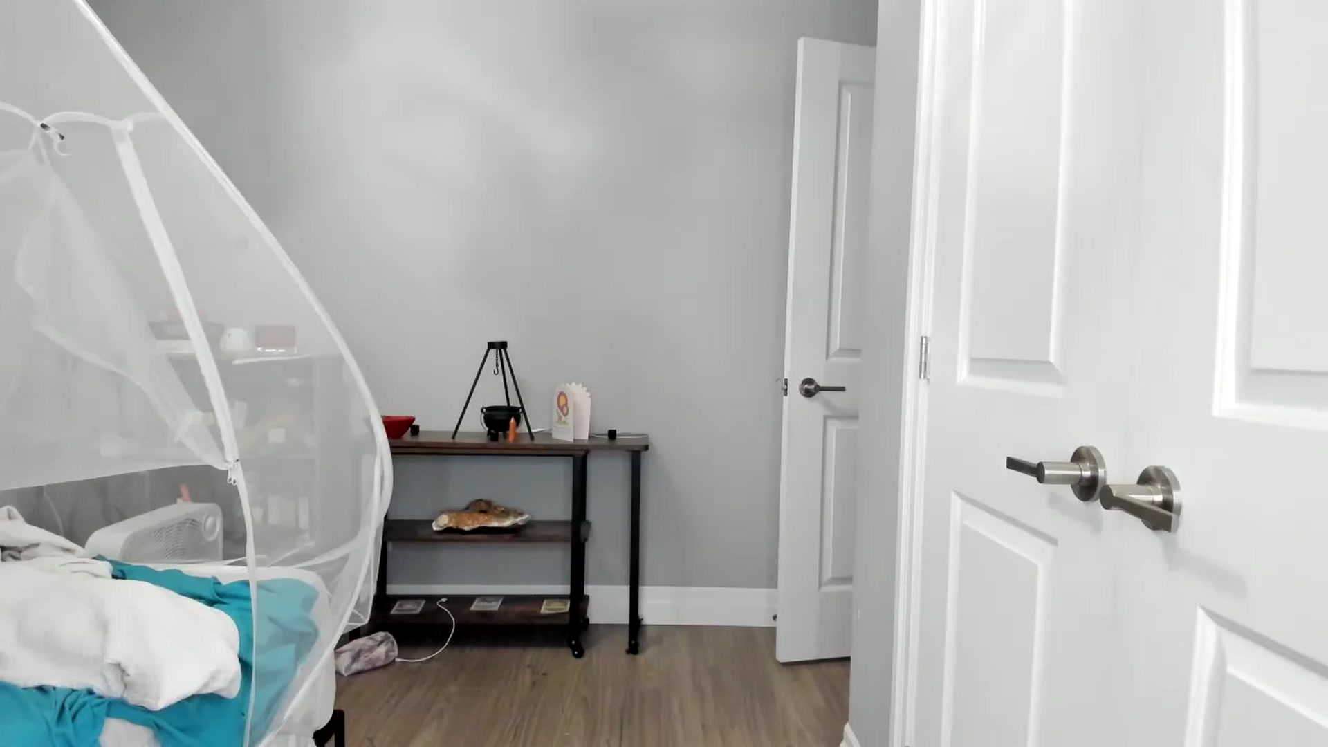 Gallery image thumbnail from Laurel's myfreecams stream on, 08/08/2025, 04:45 image 7 of 20