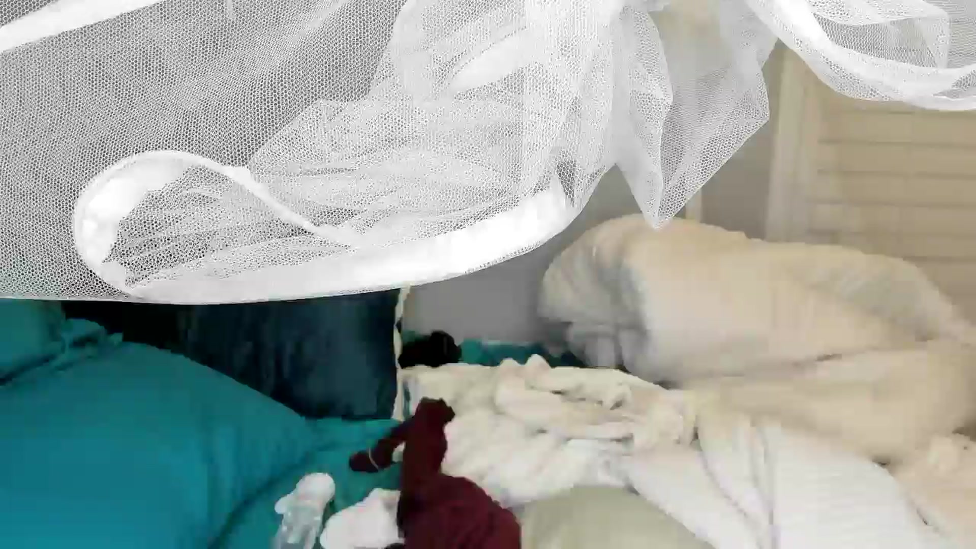 Gallery image thumbnail from Laurel's myfreecams stream on, 08/16/2025, 05:39 image 19 of 20