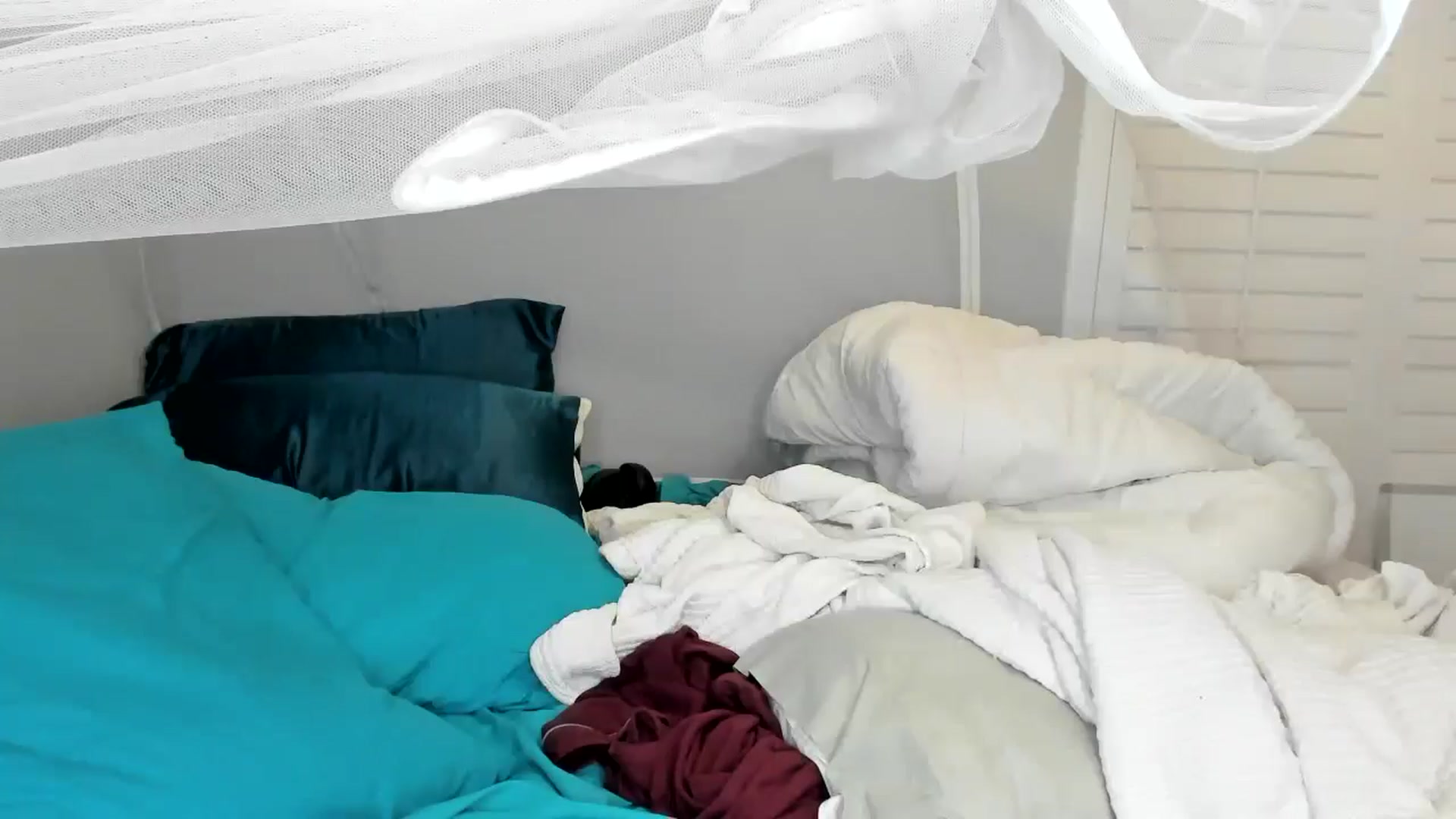 Gallery image thumbnail from Laurel's myfreecams stream on, 08/16/2025, 05:39 image 11 of 20