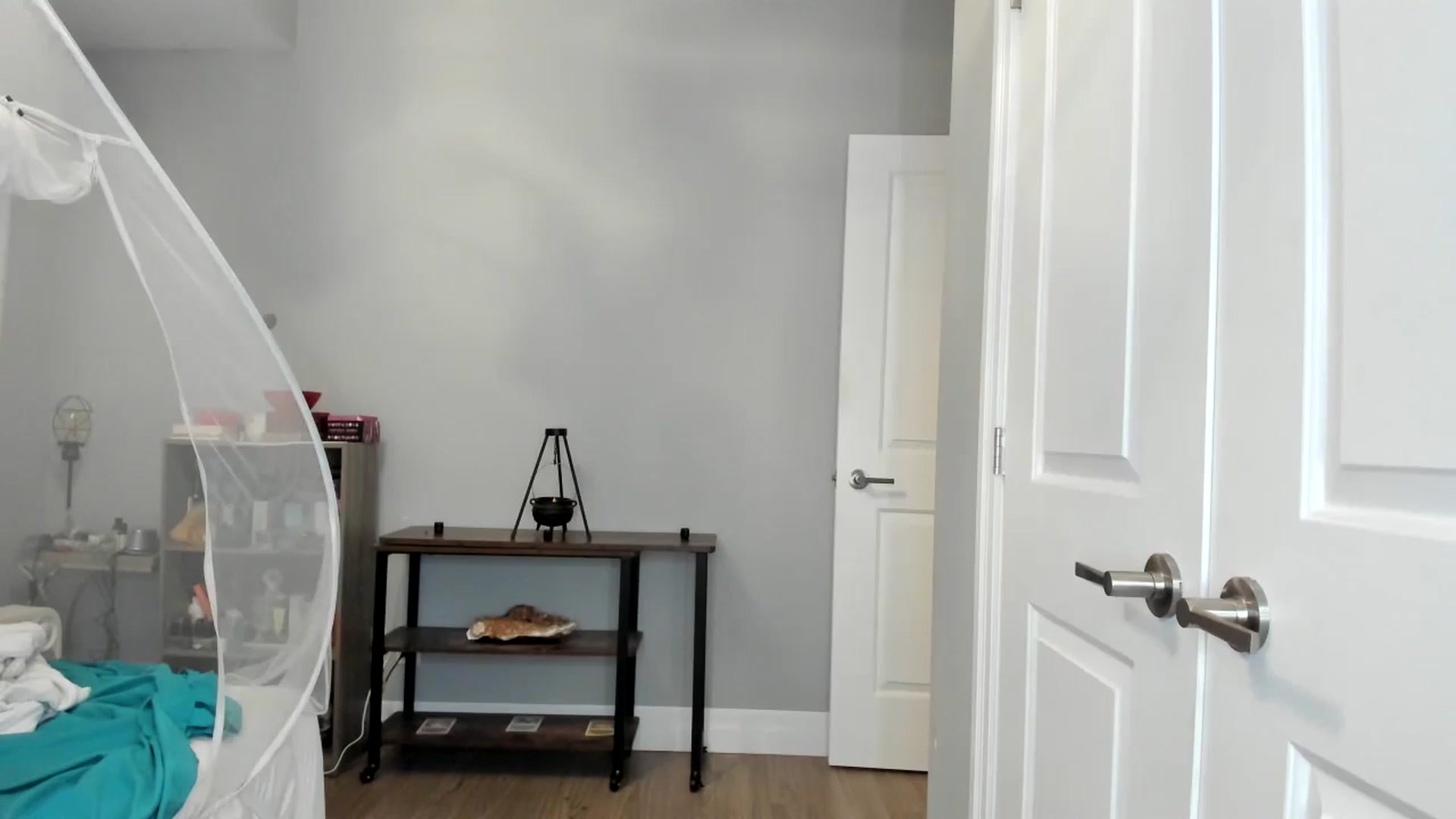 Gallery image thumbnail from Laurel's myfreecams stream on, 09/01/2025, 06:01 image 11 of 20