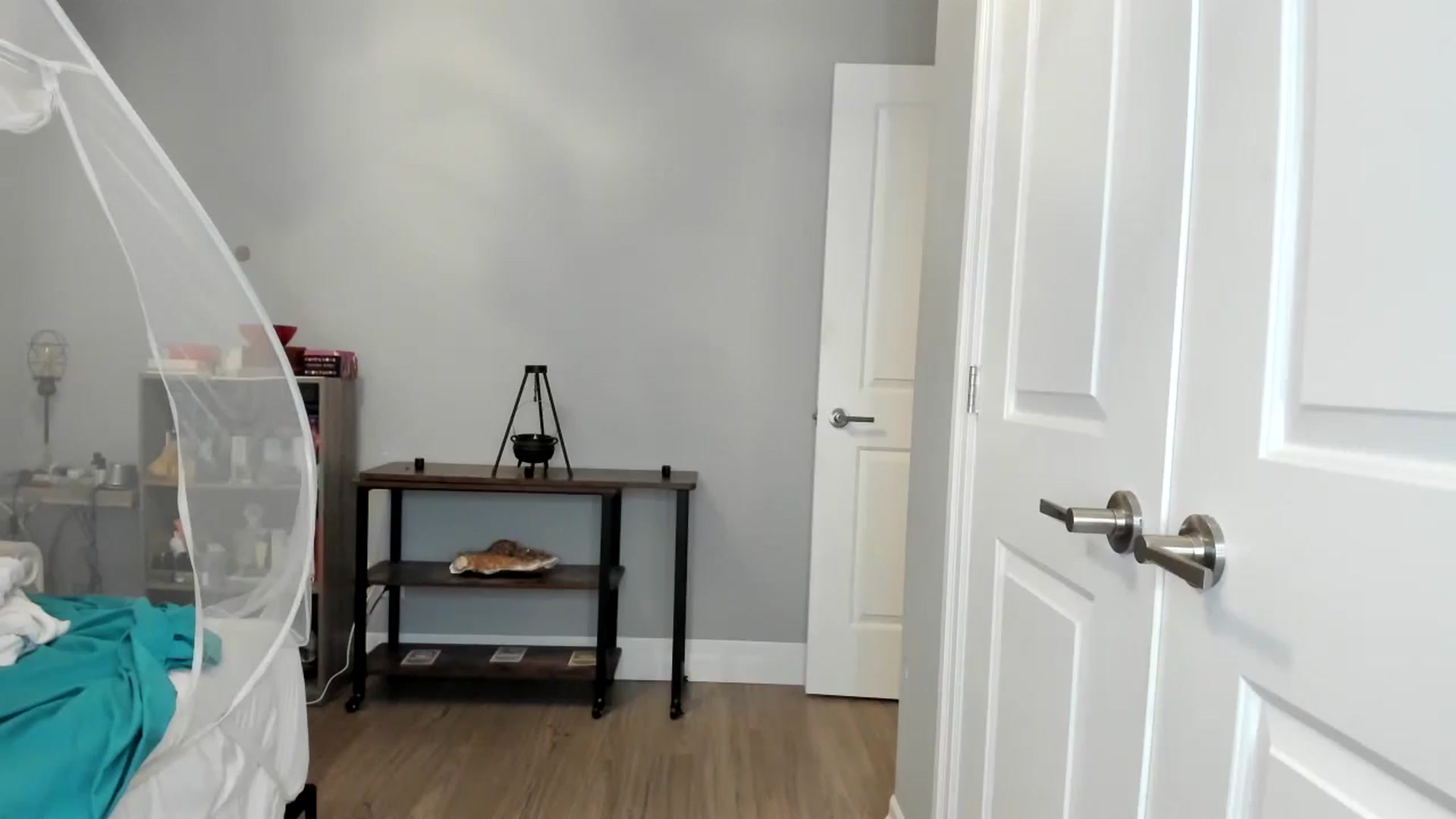 Gallery image thumbnail from Laurel's myfreecams stream on, 09/01/2025, 06:01 image 18 of 20