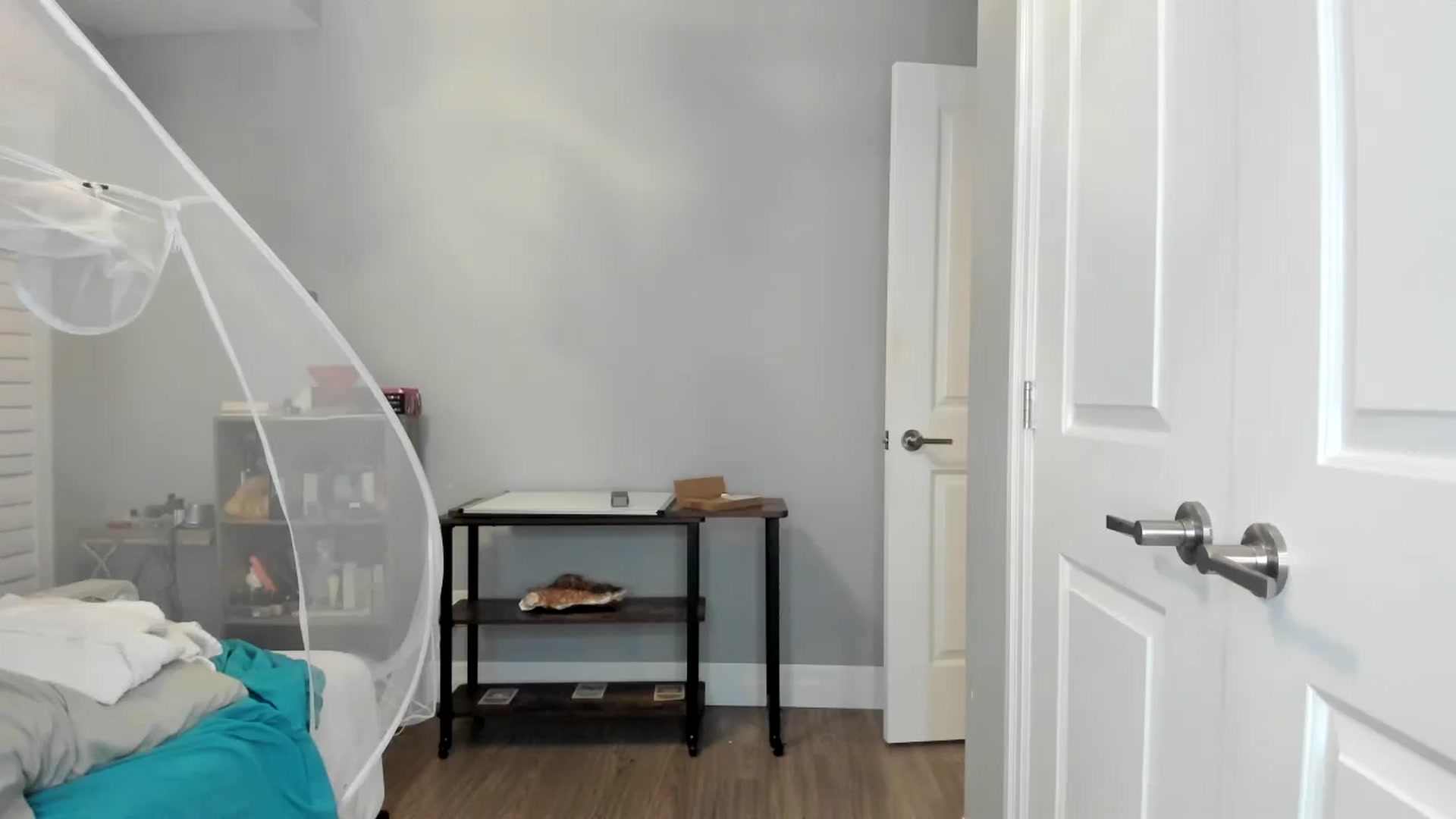 Gallery image thumbnail from Laurel's myfreecams stream on, 09/20/2025, 07:10 image 11 of 20