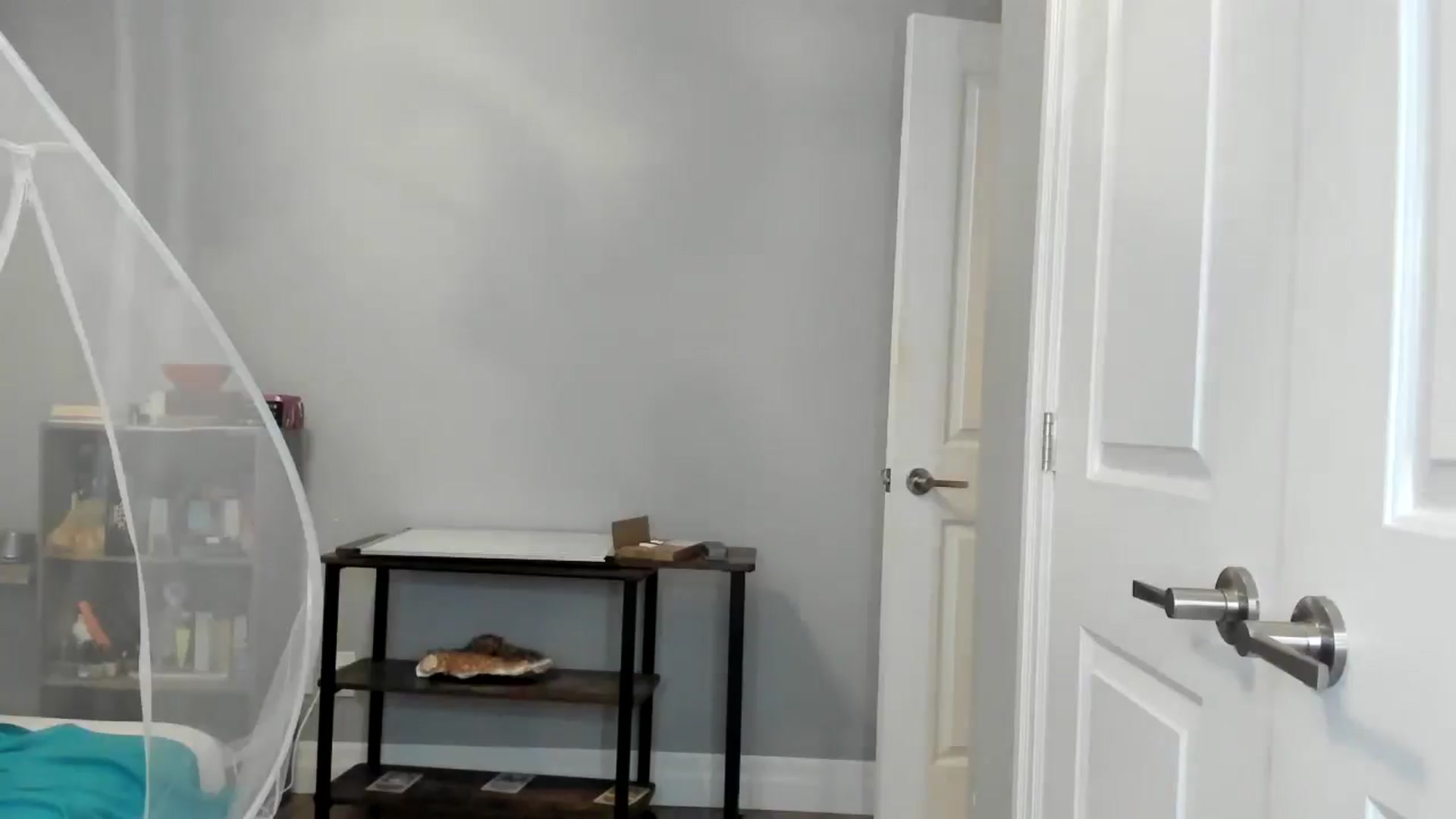 Gallery image thumbnail from Laurel's myfreecams stream on, 09/24/2025, 06:00 image 10 of 20