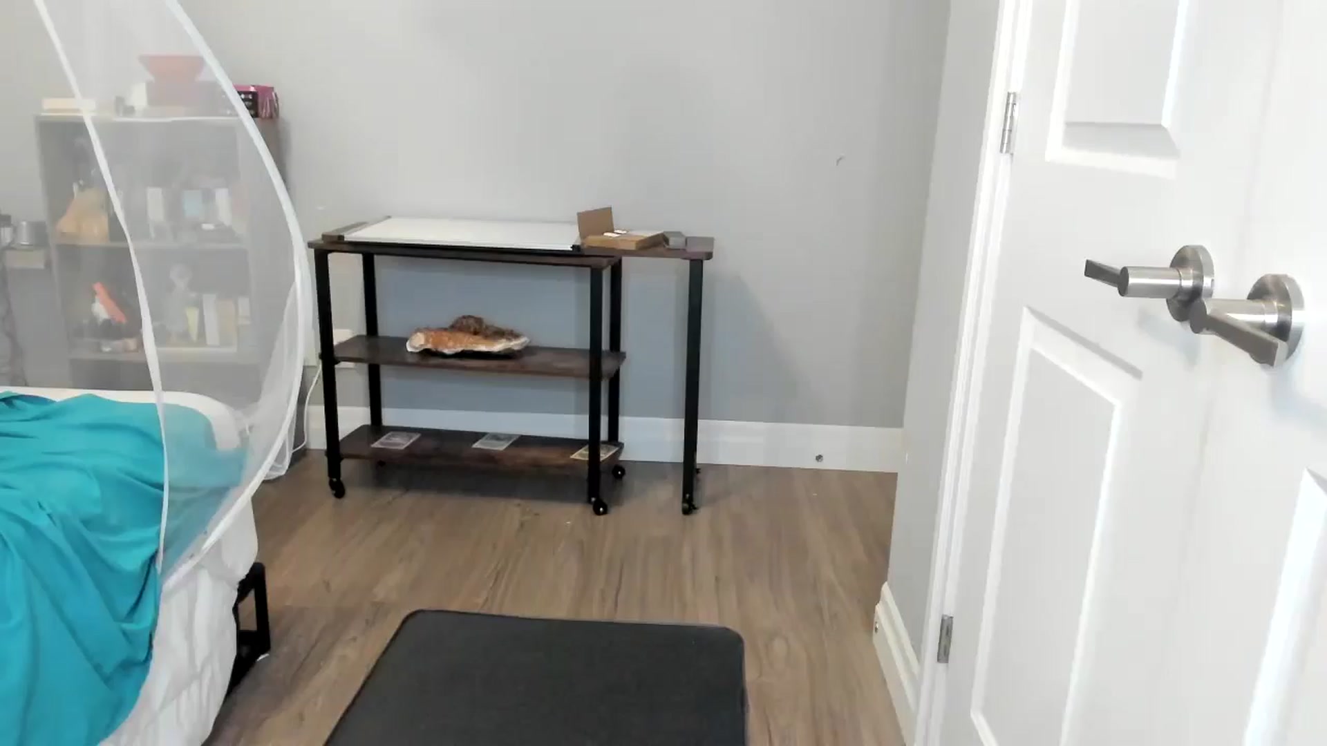 Gallery image thumbnail from Laurel's myfreecams stream on, 09/24/2025, 07:30 image 5 of 20