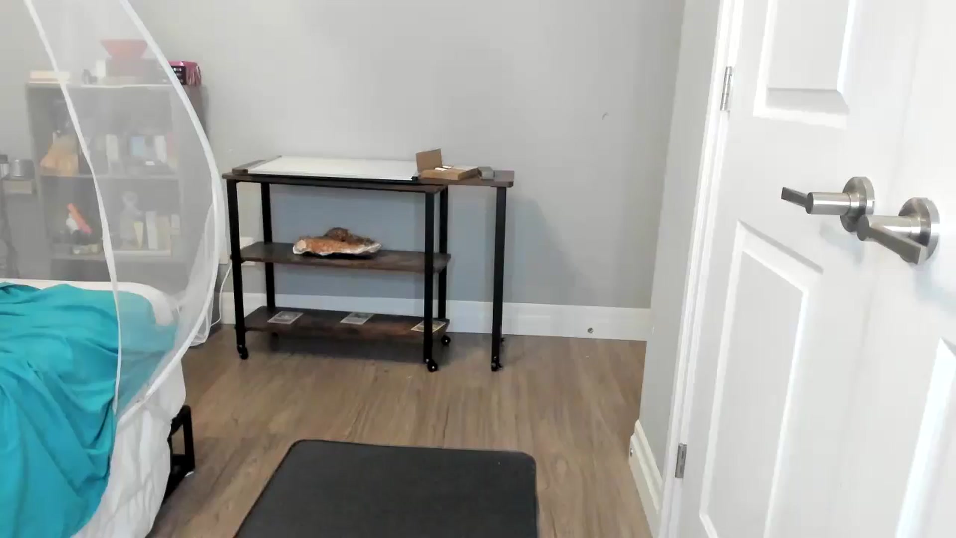 Gallery image thumbnail from Laurel's myfreecams stream on, 09/24/2025, 07:30 image 6 of 20