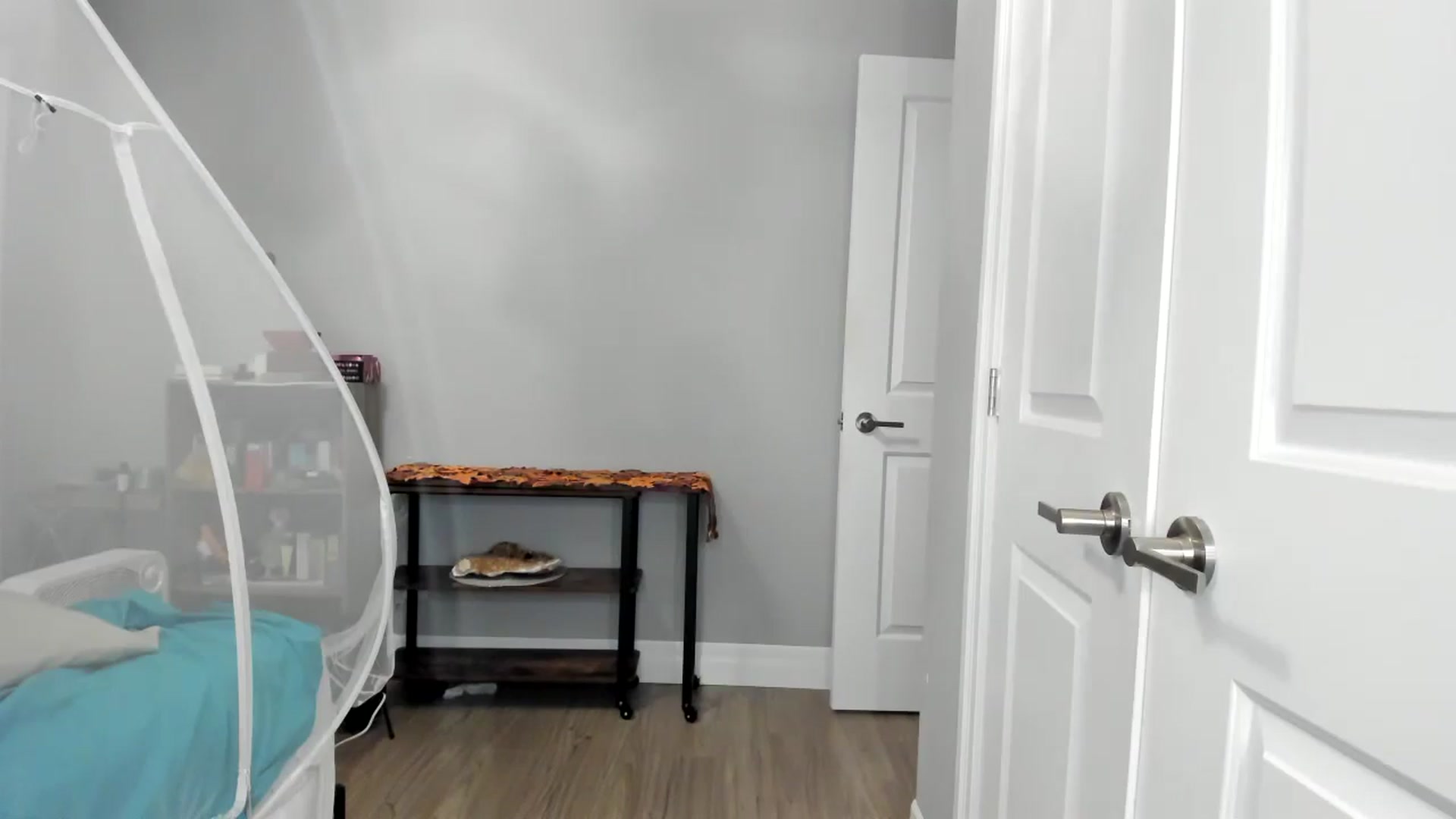 Gallery image thumbnail from Laurel's myfreecams stream on, 10/19/2025, 06:11 image 10 of 20