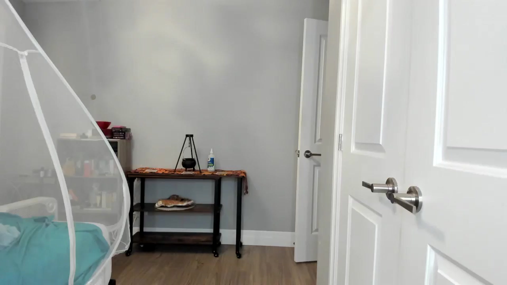 Gallery image thumbnail from Laurel's myfreecams stream on, 10/25/2025, 05:11 image 2 of 20
