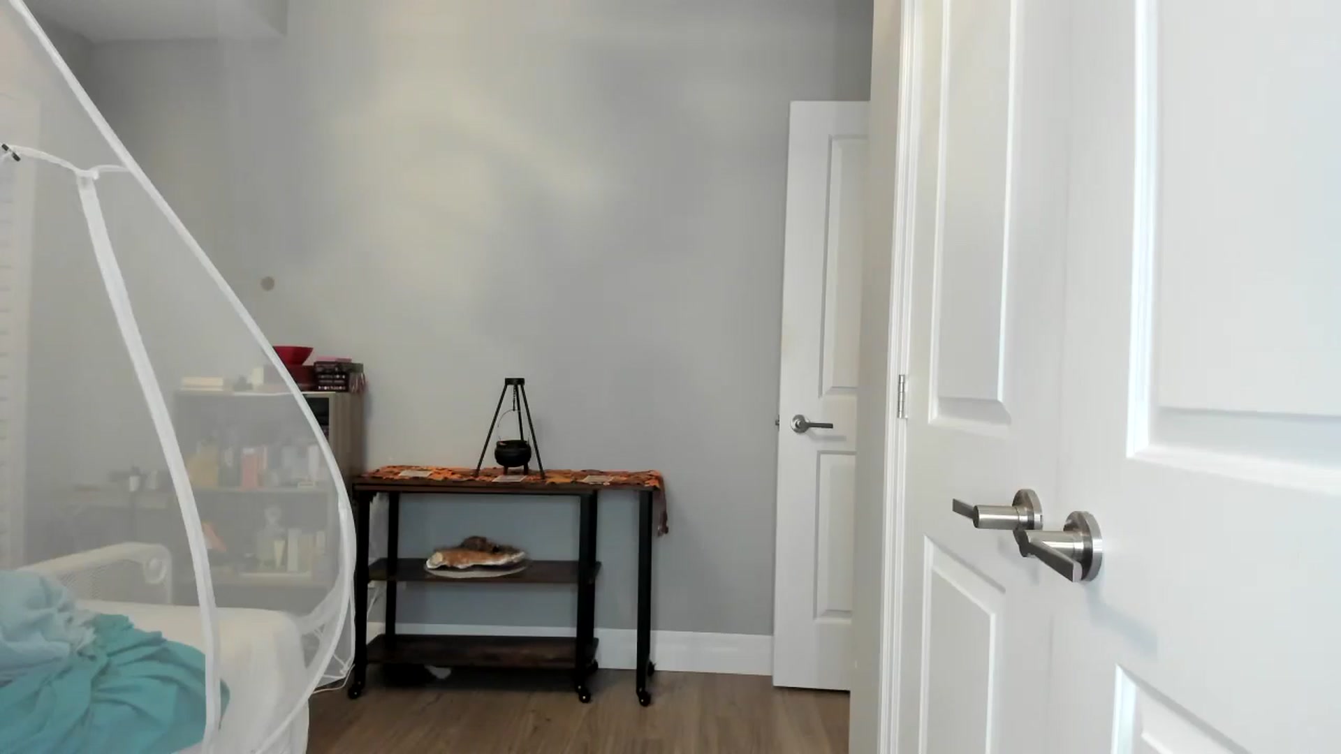 Gallery image thumbnail from Laurel's myfreecams stream on, 10/26/2025, 04:29 image 3 of 20