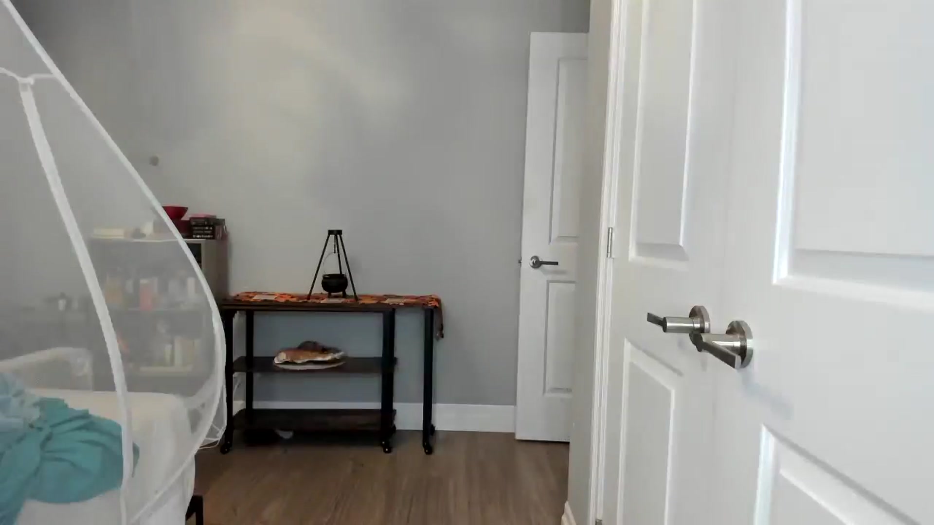 Gallery image thumbnail from Laurel's myfreecams stream on, 10/26/2025, 04:29 image 16 of 20