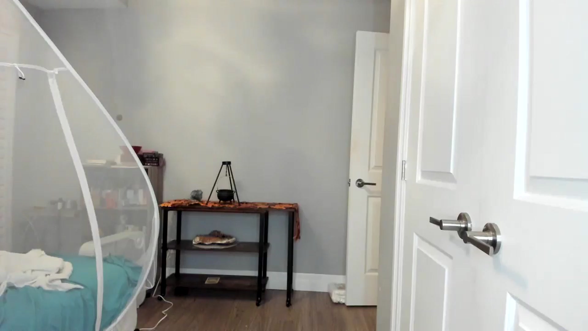 Gallery image thumbnail from Laurel's myfreecams stream on, 11/01/2025, 06:25 image 18 of 20