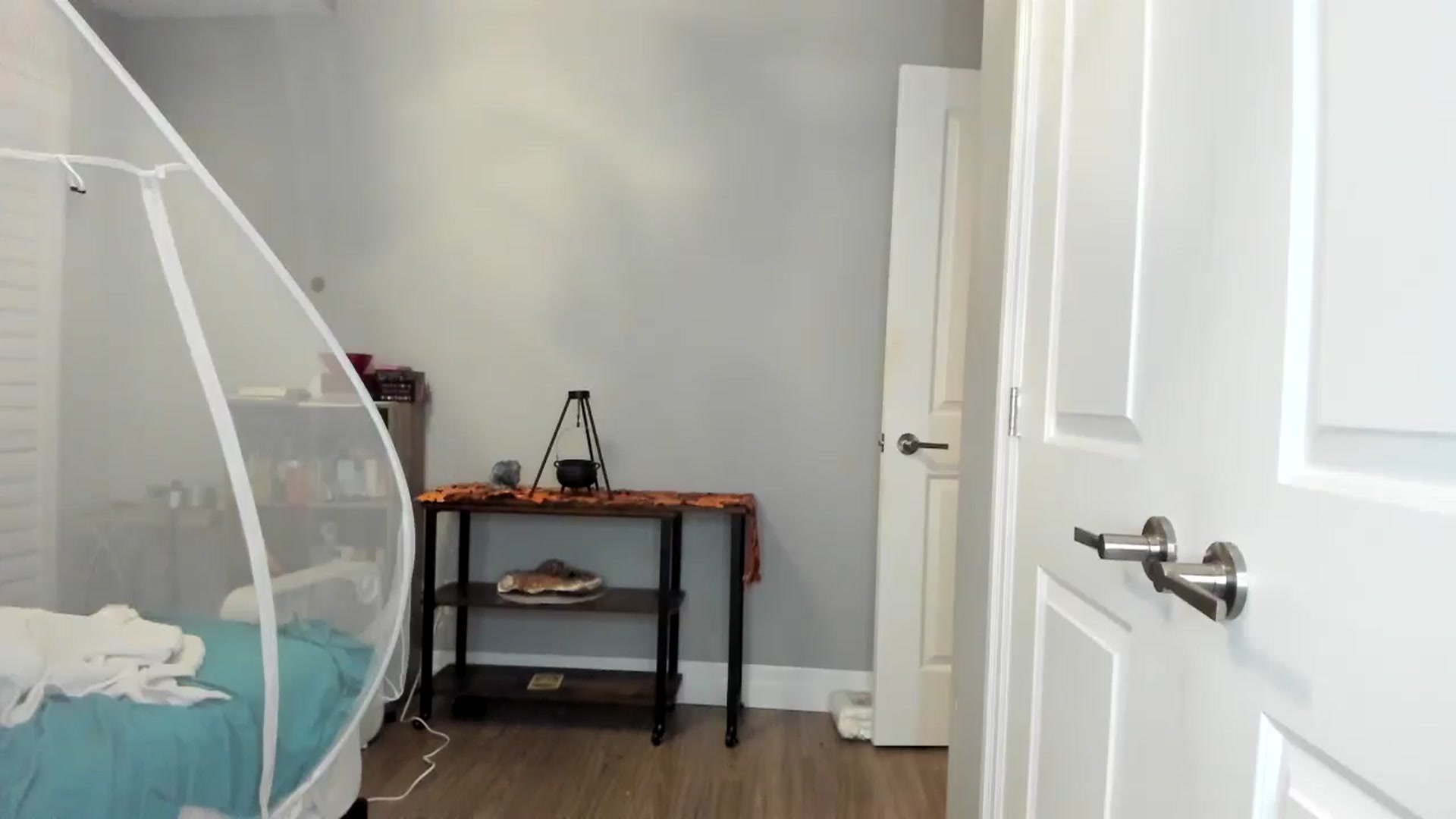 Gallery image thumbnail from Laurel's myfreecams stream on, 11/01/2025, 06:25 image 15 of 20