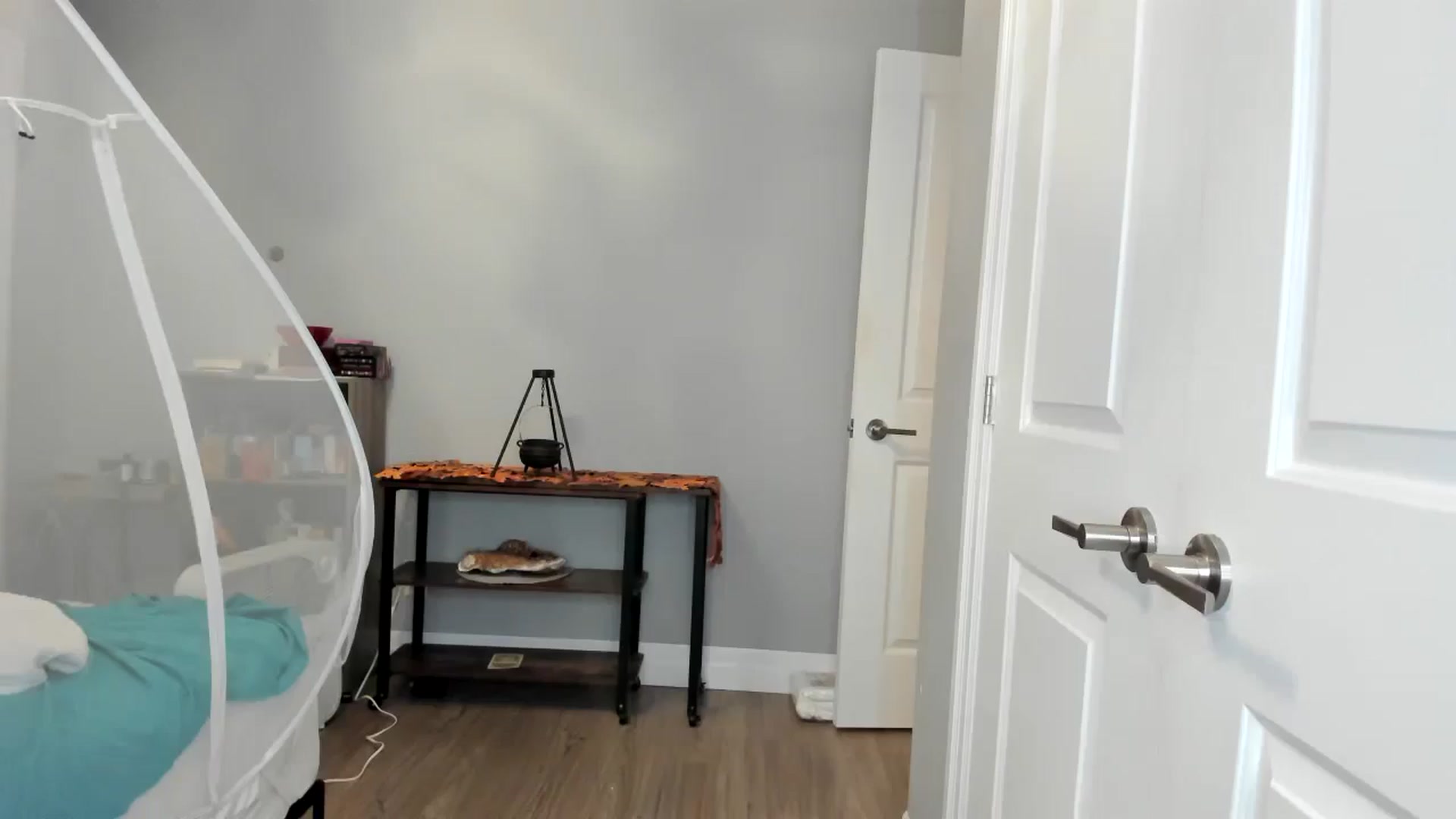 Gallery image thumbnail from Laurel's myfreecams stream on, 11/03/2025, 05:26 image 3 of 20