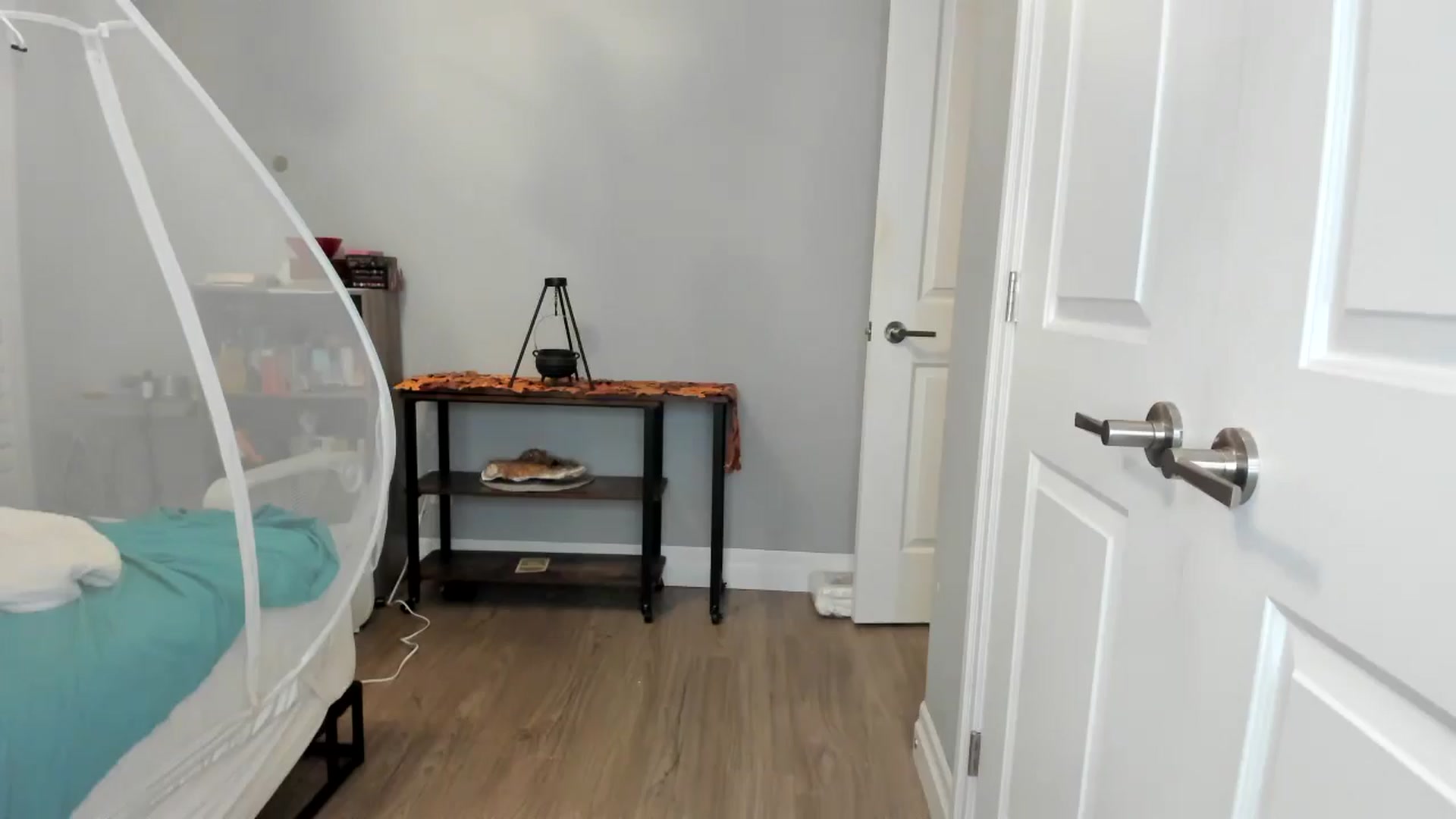 Gallery image thumbnail from Laurel's myfreecams stream on, 11/03/2025, 05:47 image 5 of 20