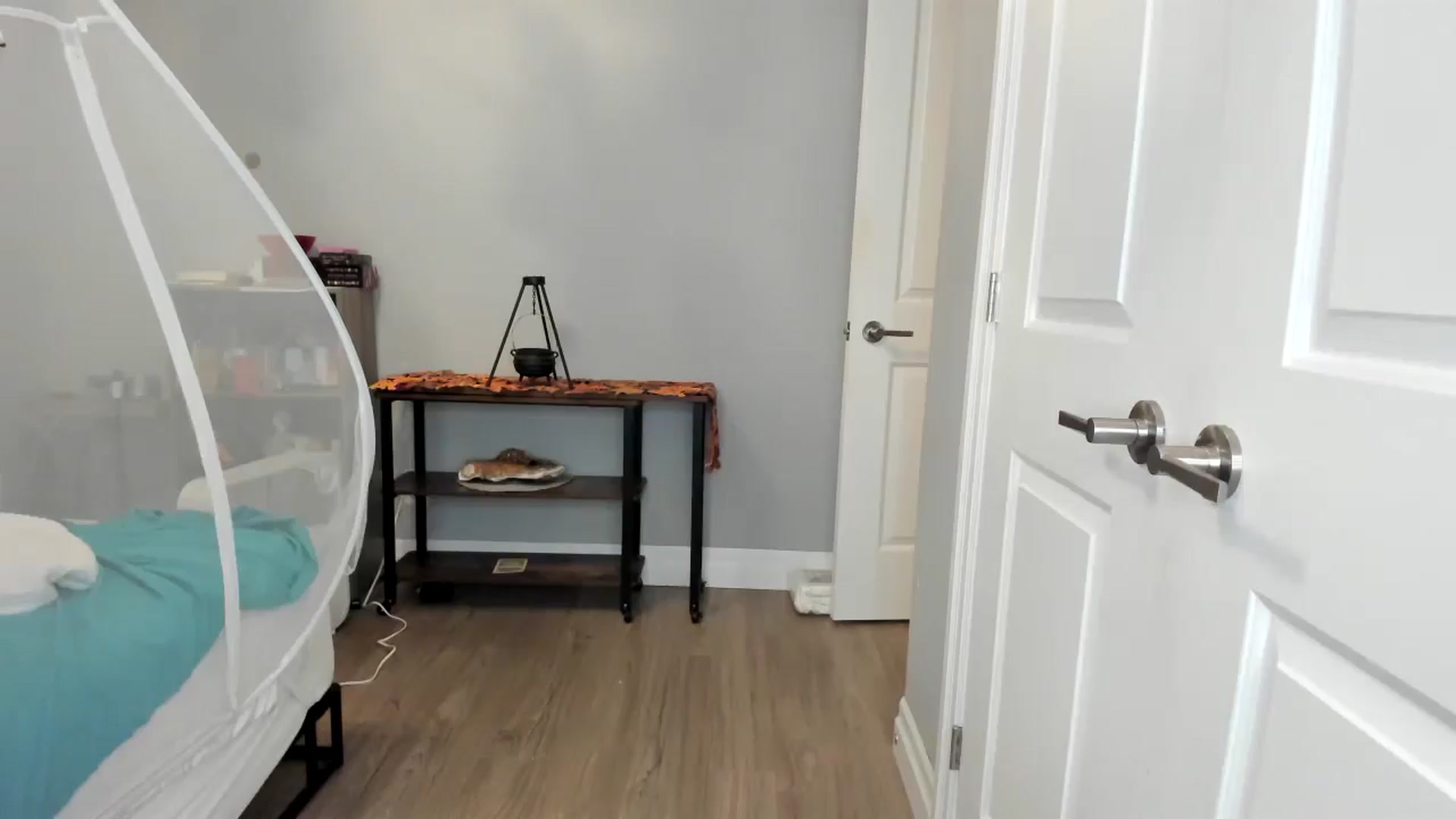 Gallery image thumbnail from Laurel's myfreecams stream on, 11/03/2025, 08:11 image 6 of 20