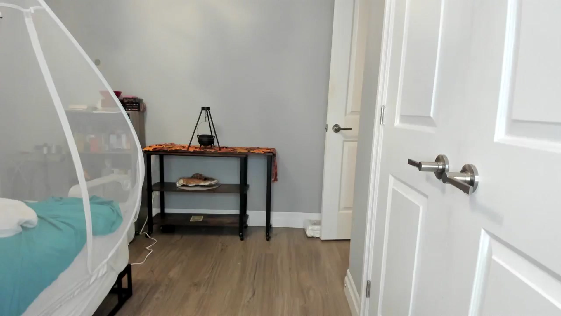 Gallery image thumbnail from Laurel's myfreecams stream on, 11/03/2025, 08:11 image 8 of 20