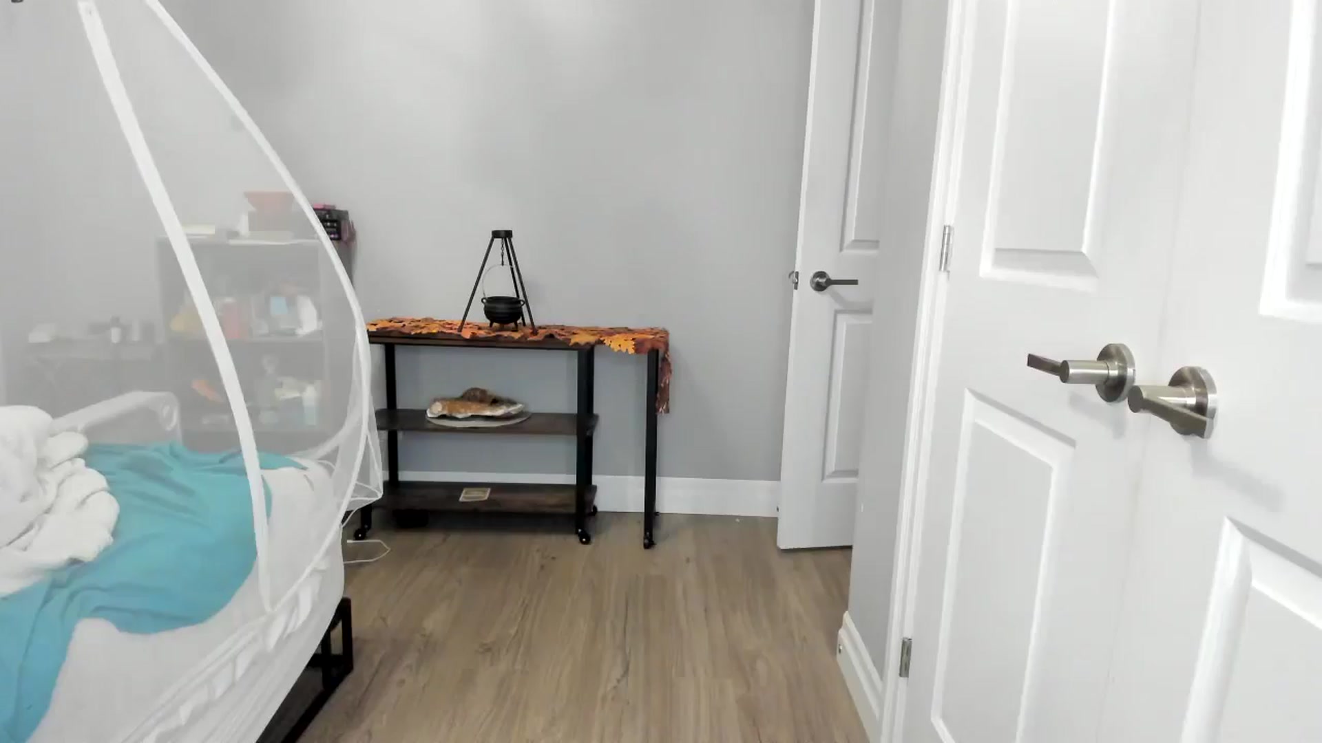 Gallery image thumbnail from Laurel's myfreecams stream on, 11/15/2025, 08:14 image 11 of 20