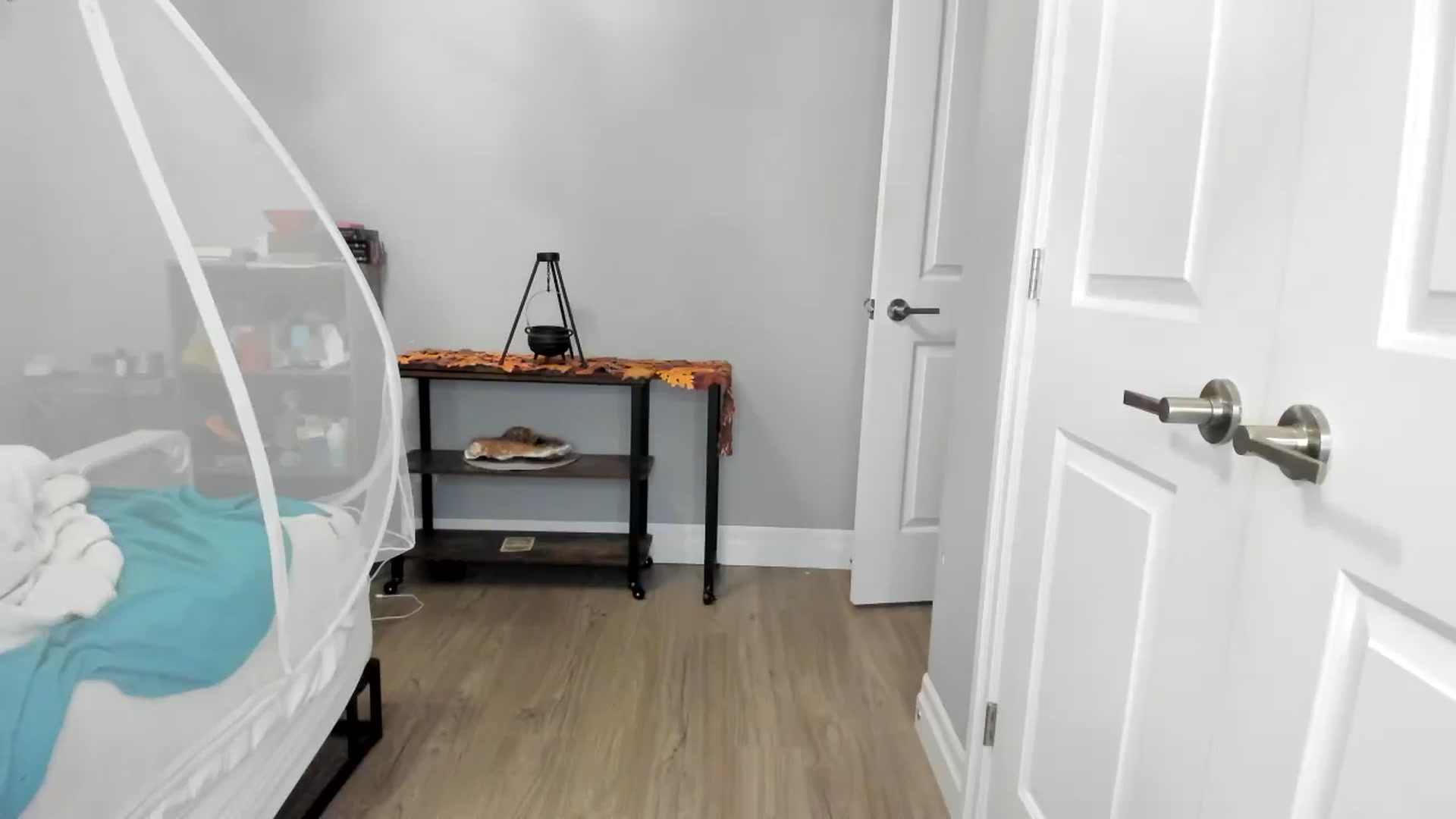 Gallery image thumbnail from Laurel's myfreecams stream on, 11/15/2025, 08:14 image 15 of 20