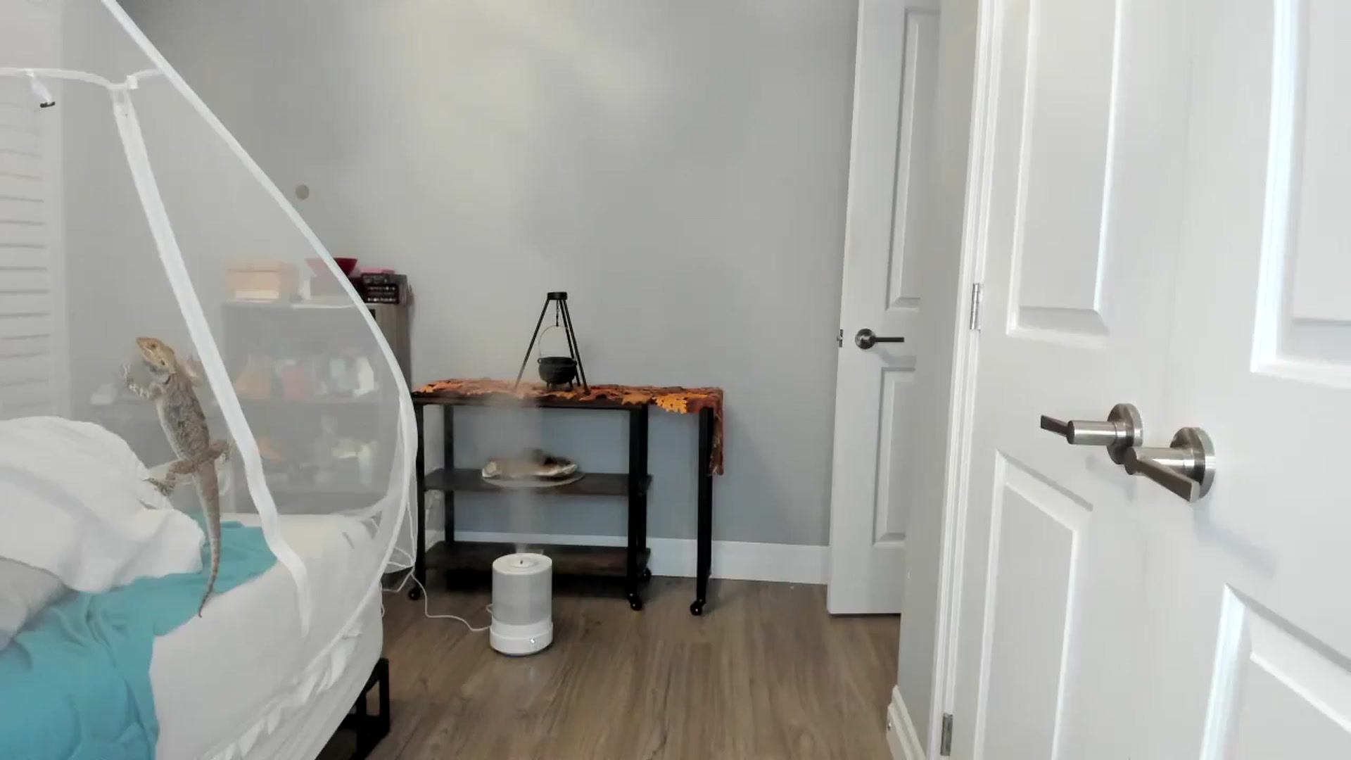 Gallery image thumbnail from Laurel's myfreecams stream on, 11/17/2025, 05:24 image 16 of 20