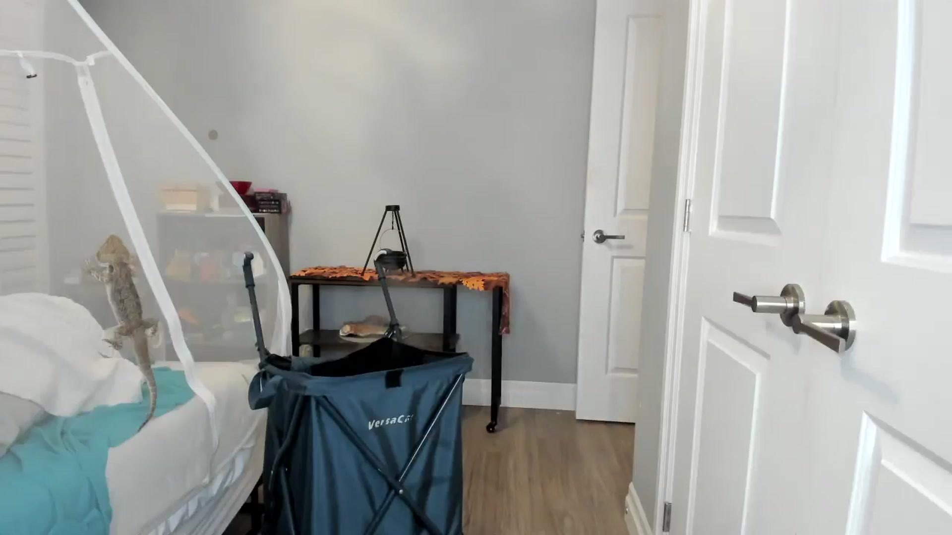 Gallery image thumbnail from Laurel's myfreecams stream on, 11/17/2025, 05:24 image 18 of 20