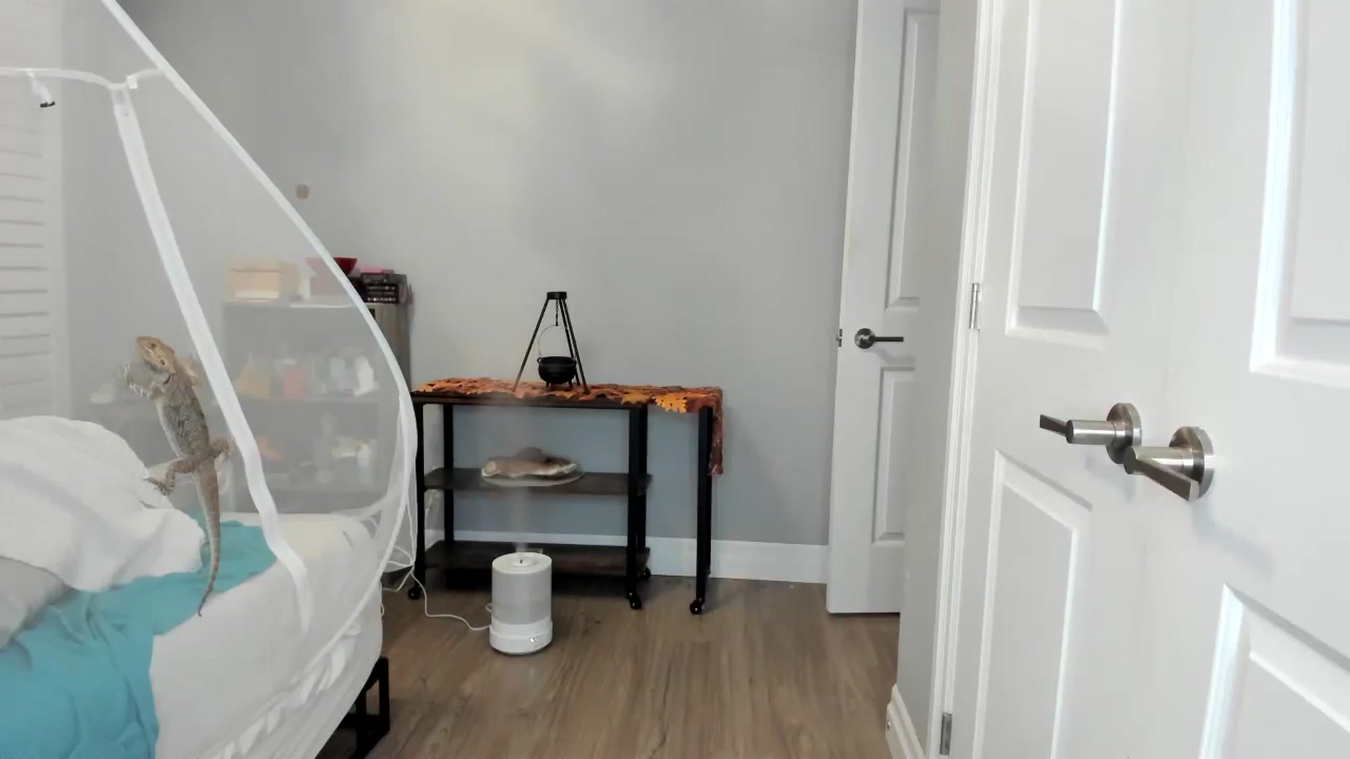 Gallery image thumbnail from Laurel's myfreecams stream on, 11/17/2025, 05:24 image 15 of 20