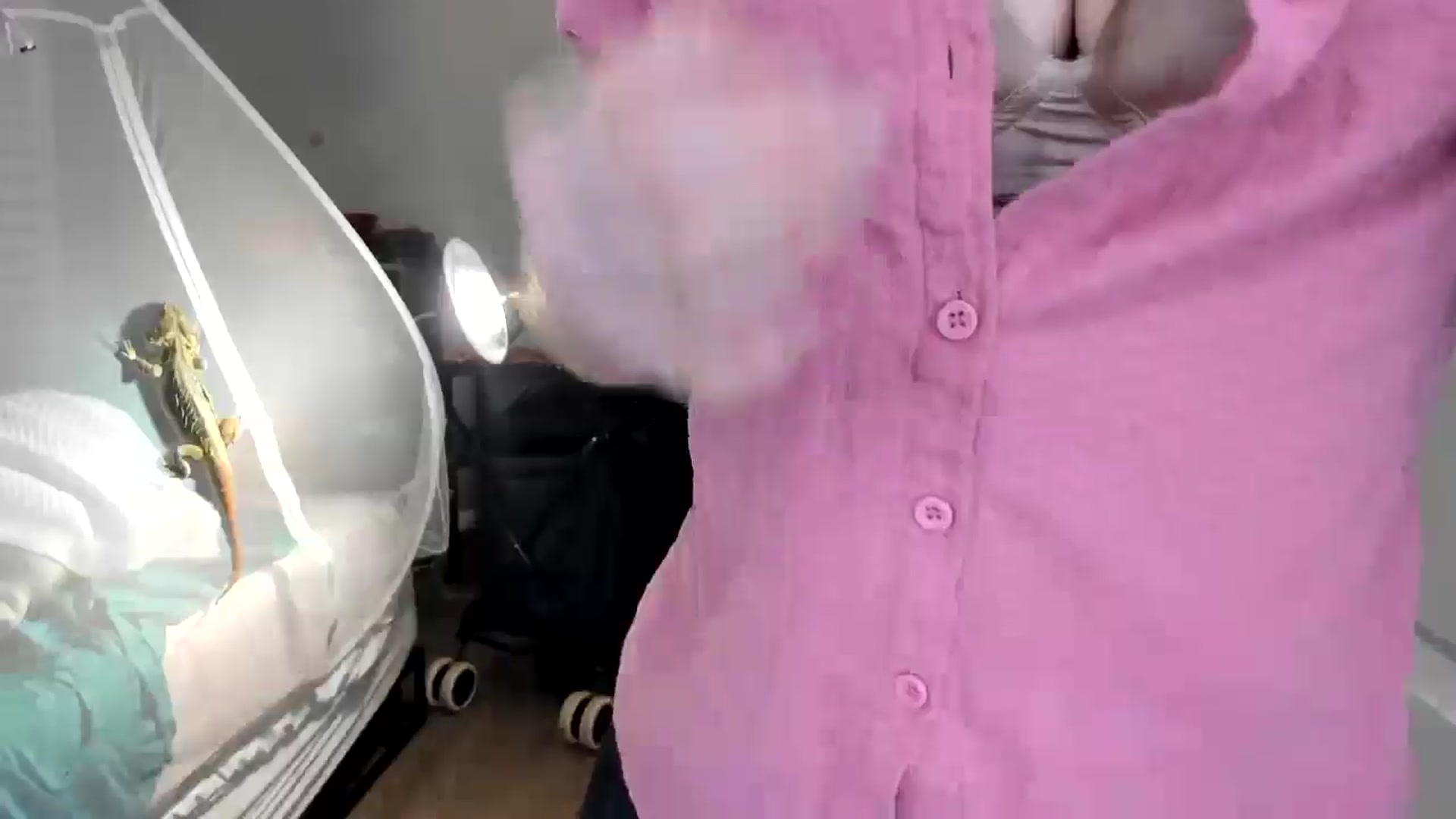 Gallery image thumbnail from Laurel's myfreecams stream on, 11/17/2025, 06:12 image 7 of 20