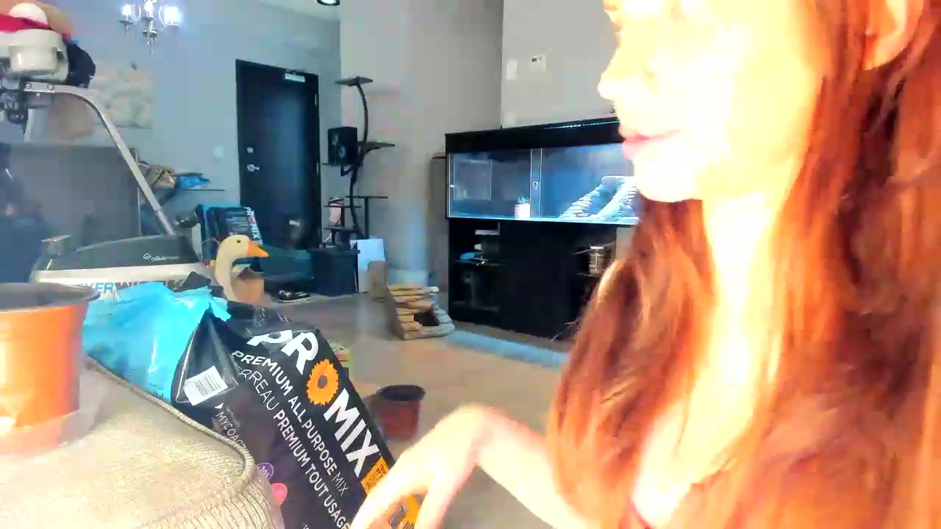 Gallery image thumbnail from Laurel's myfreecams stream on, 05/27/2026, 06:05 image 3 of 20