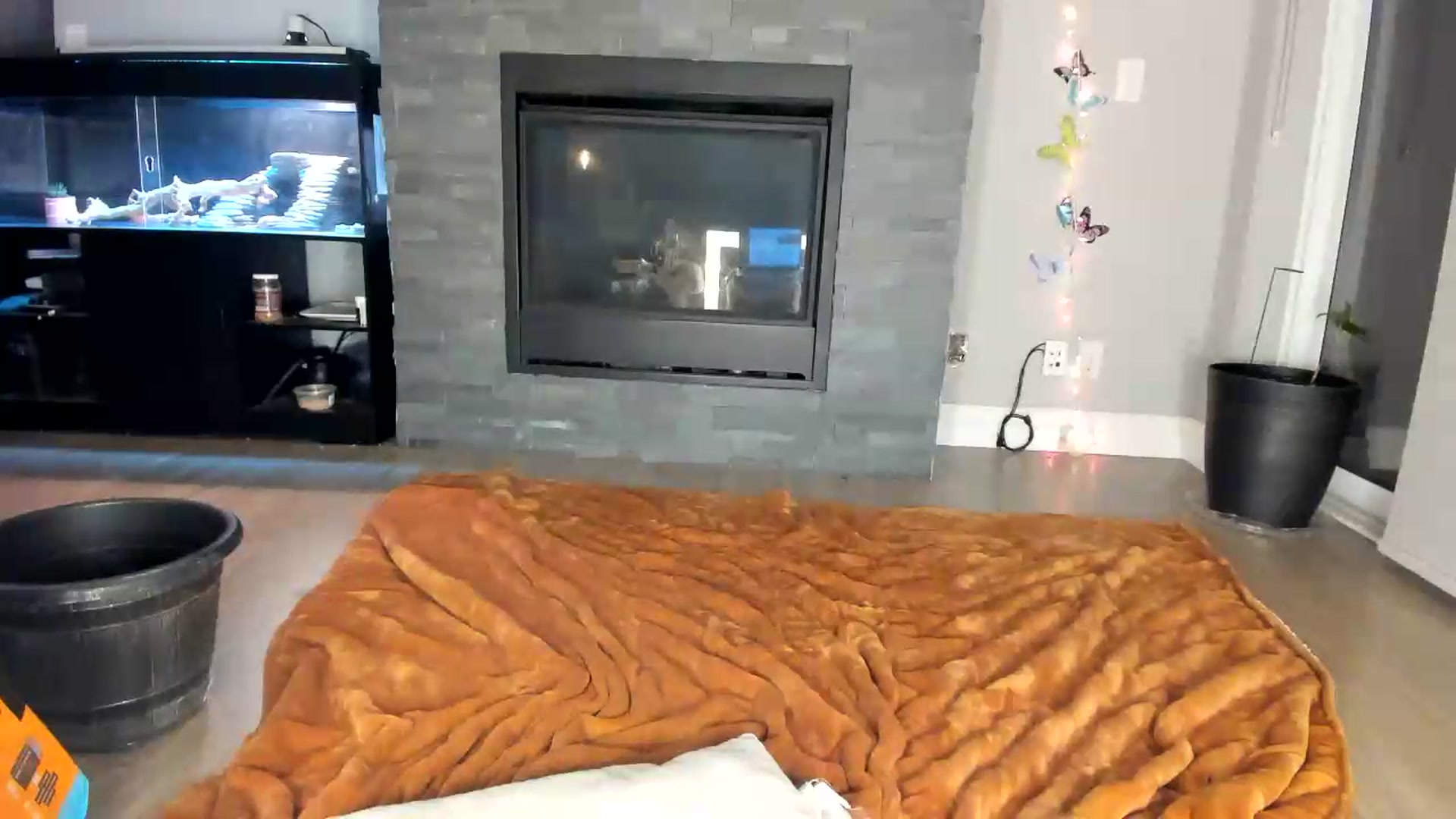 Gallery image thumbnail from Laurel's myfreecams stream on, 05/29/2026, 04:40 image 16 of 20