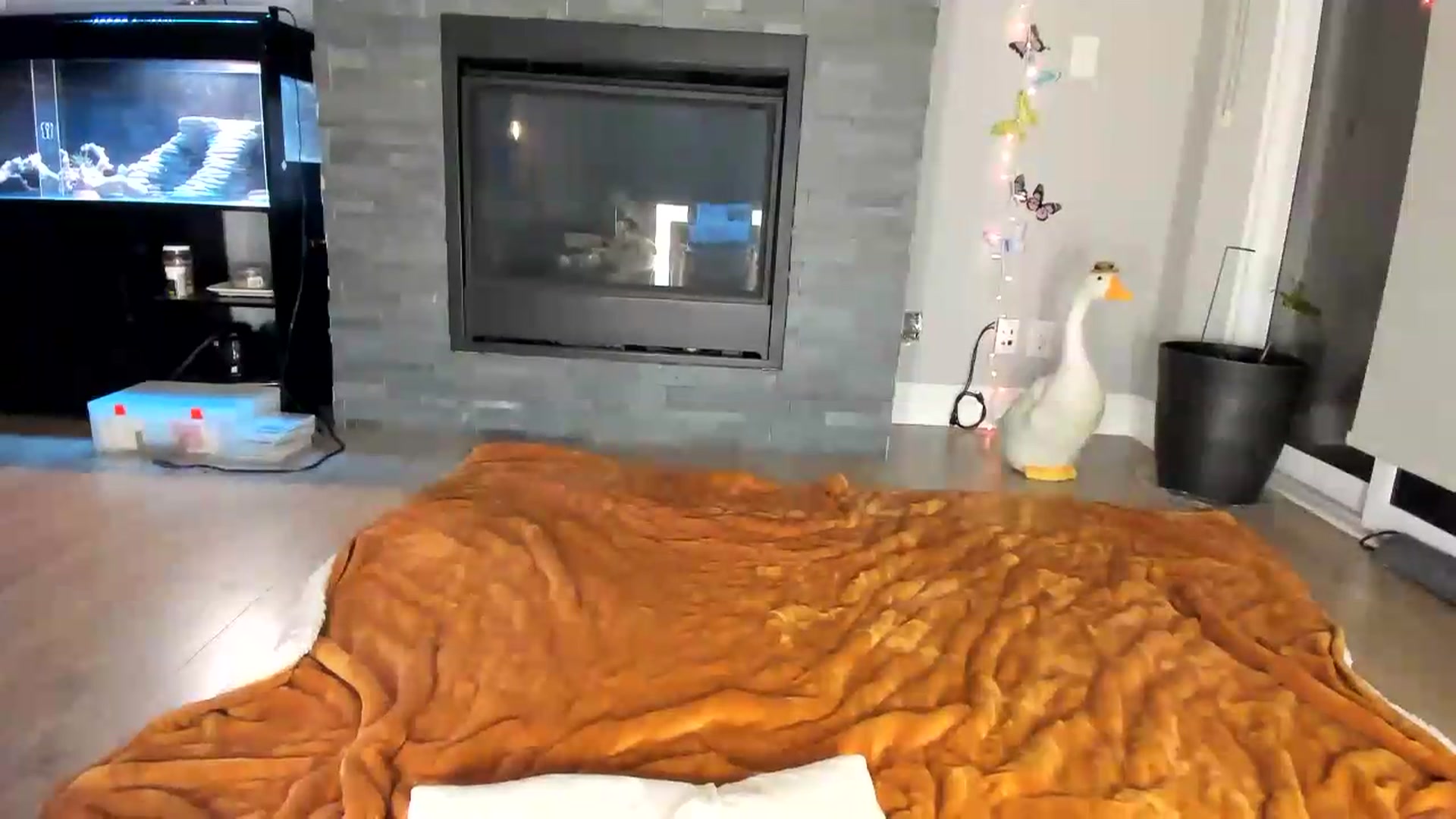 Gallery image thumbnail from Laurel's myfreecams stream on, 06/08/2026, 07:02 image 8 of 20
