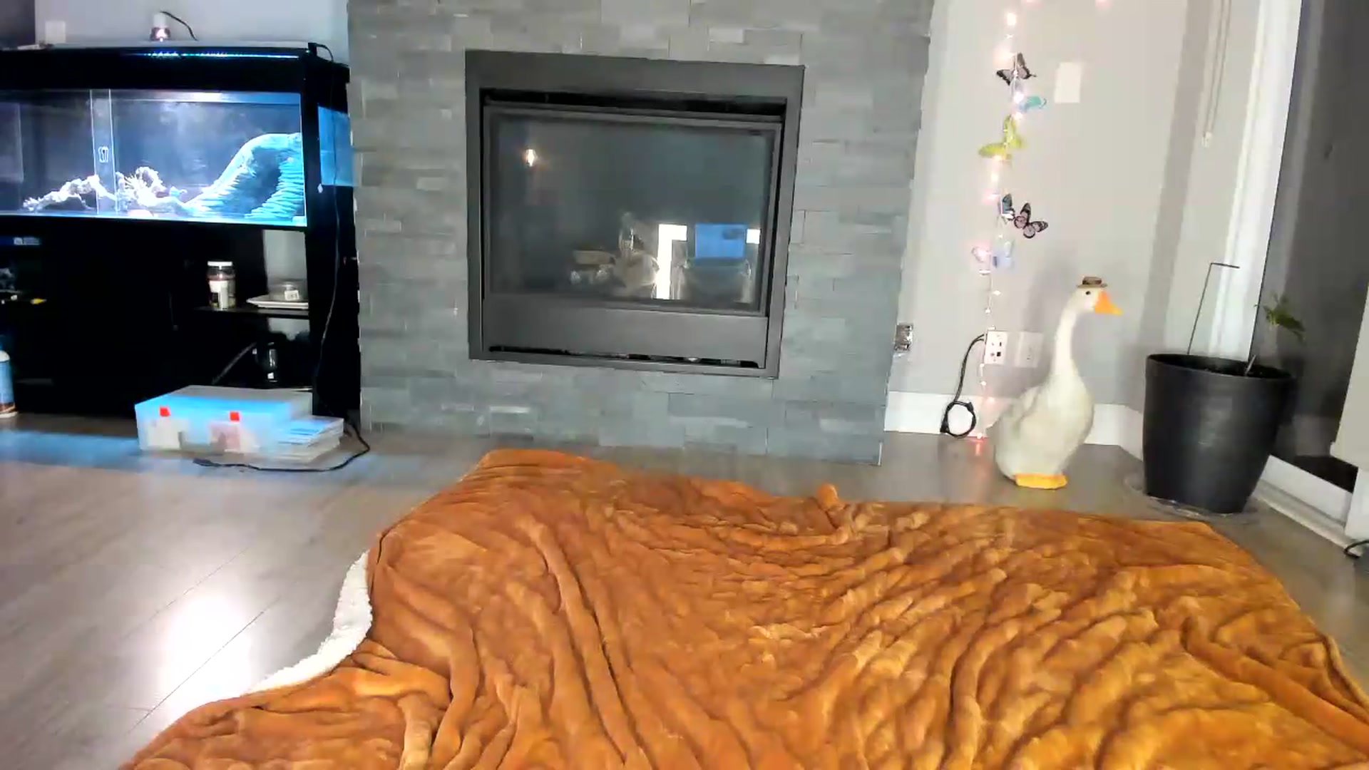 Gallery image thumbnail from Laurel's myfreecams stream on, 06/08/2026, 07:02 image 14 of 20