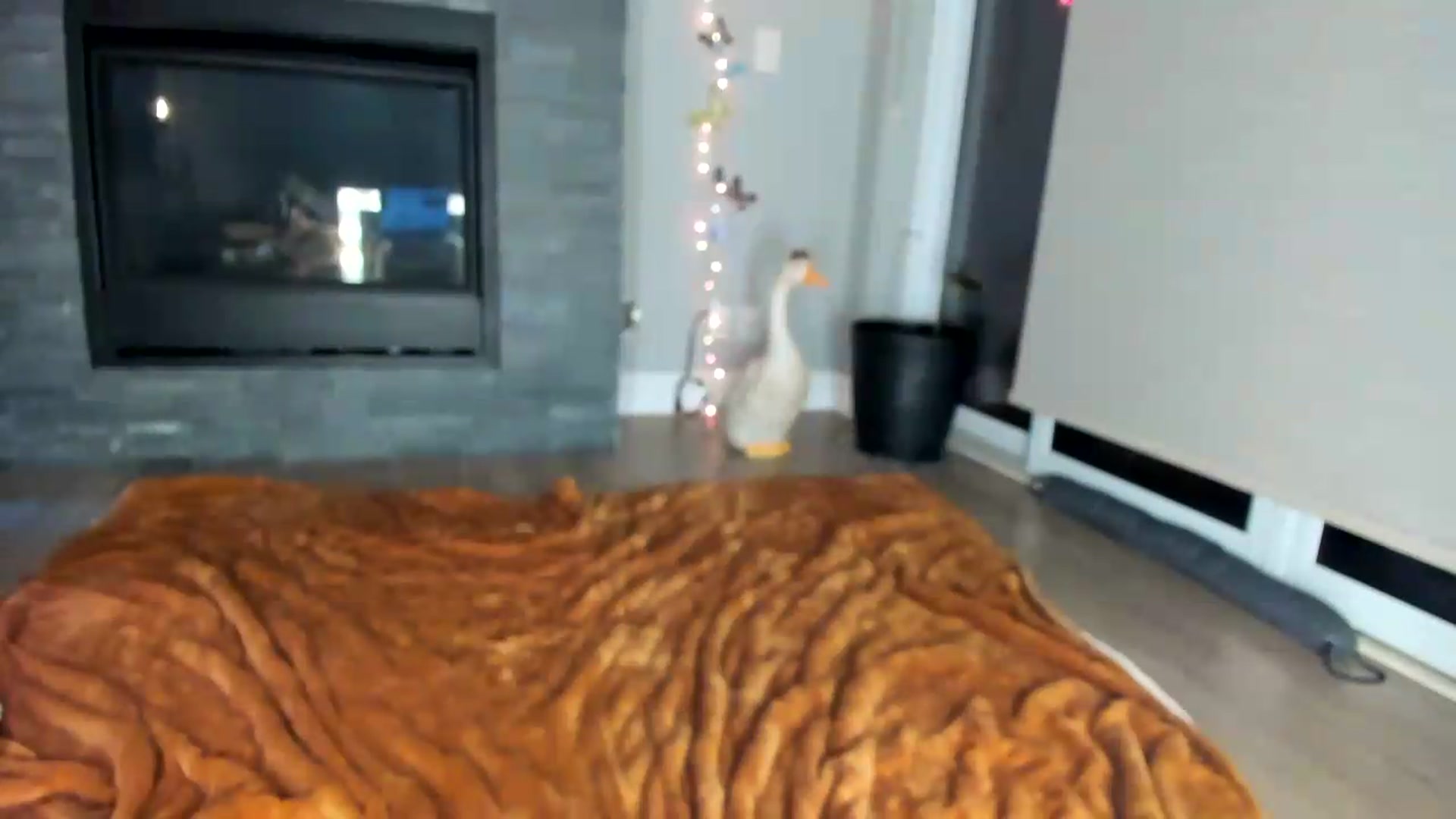 Gallery image thumbnail from Laurel's myfreecams stream on, 06/08/2026, 07:02 image 11 of 20