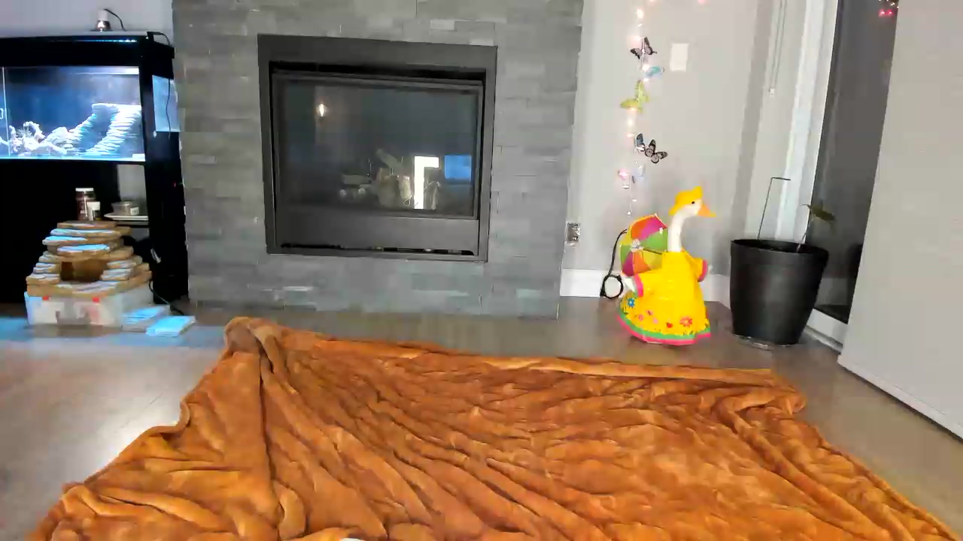 Gallery image thumbnail from Laurel's myfreecams stream on, 06/10/2026, 04:05 image 2 of 20