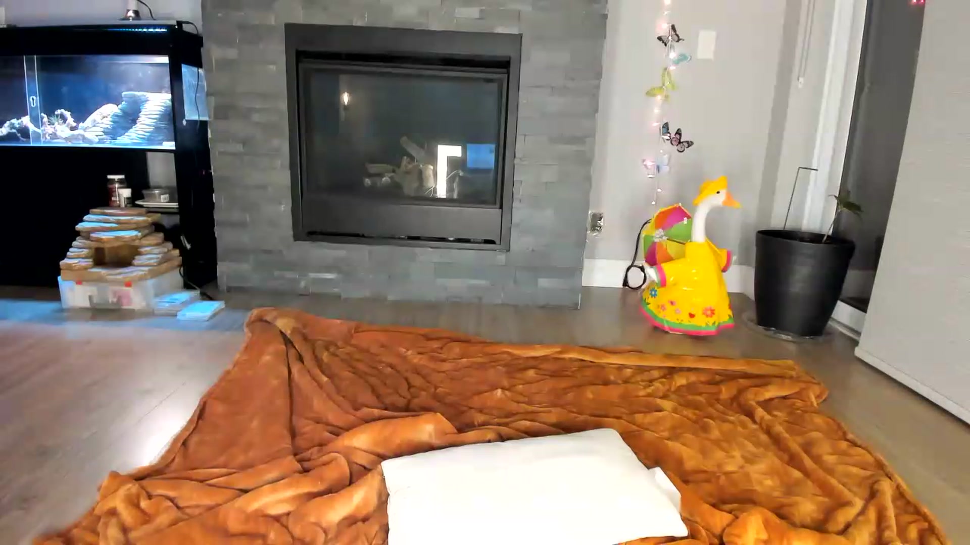 Gallery image thumbnail from Laurel's myfreecams stream on, 06/10/2026, 05:14 image 14 of 20