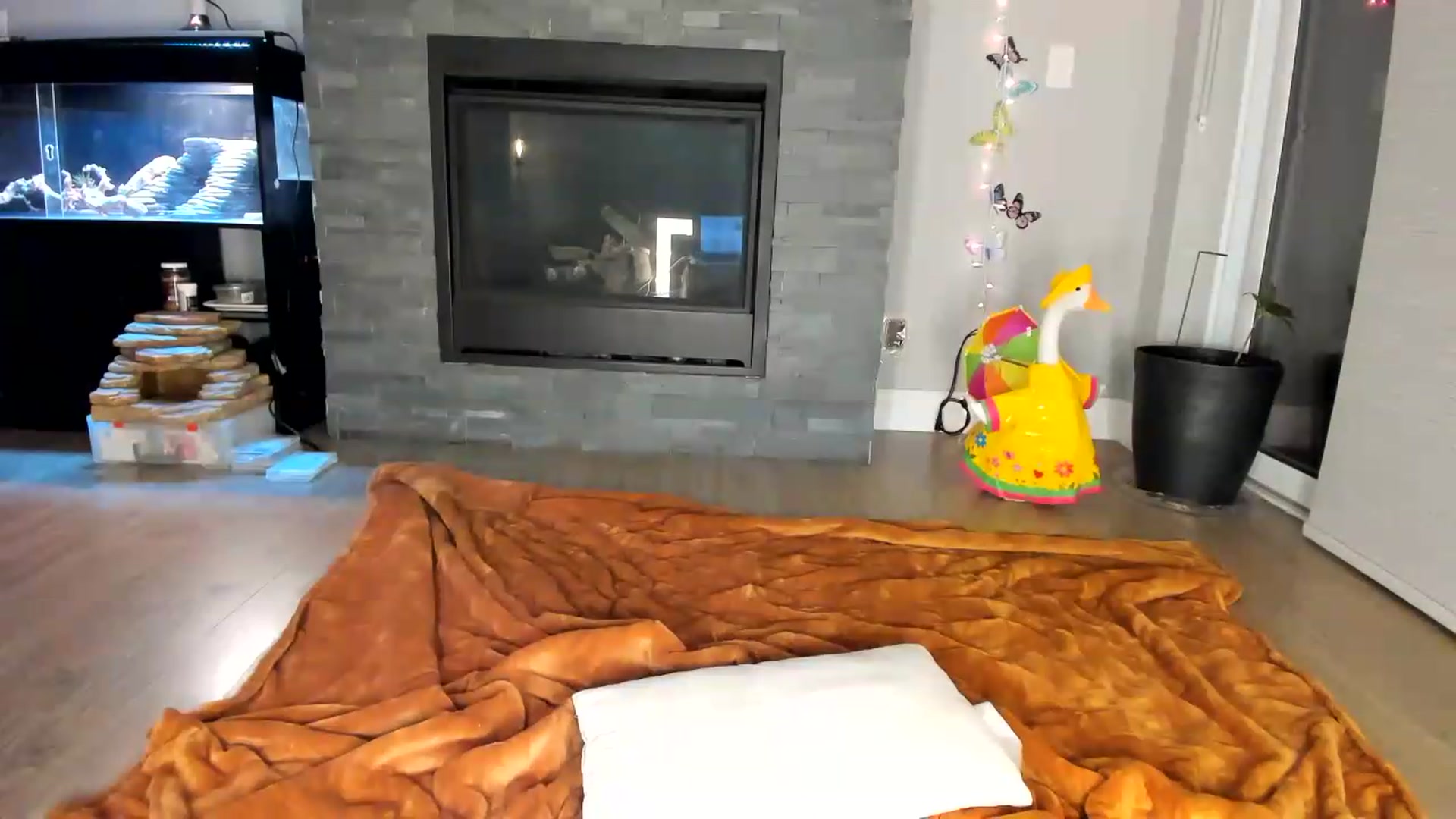 Gallery image thumbnail from Laurel's myfreecams stream on, 06/10/2026, 05:14 image 9 of 20