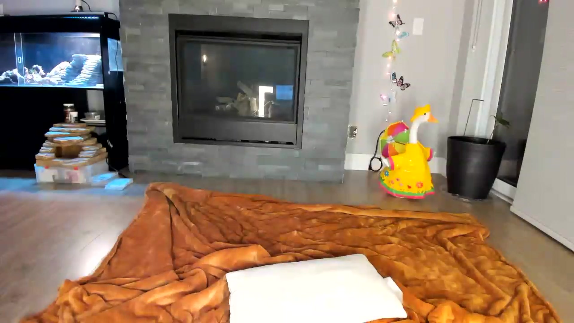 Gallery image thumbnail from Laurel's myfreecams stream on, 06/10/2026, 05:14 image 13 of 20