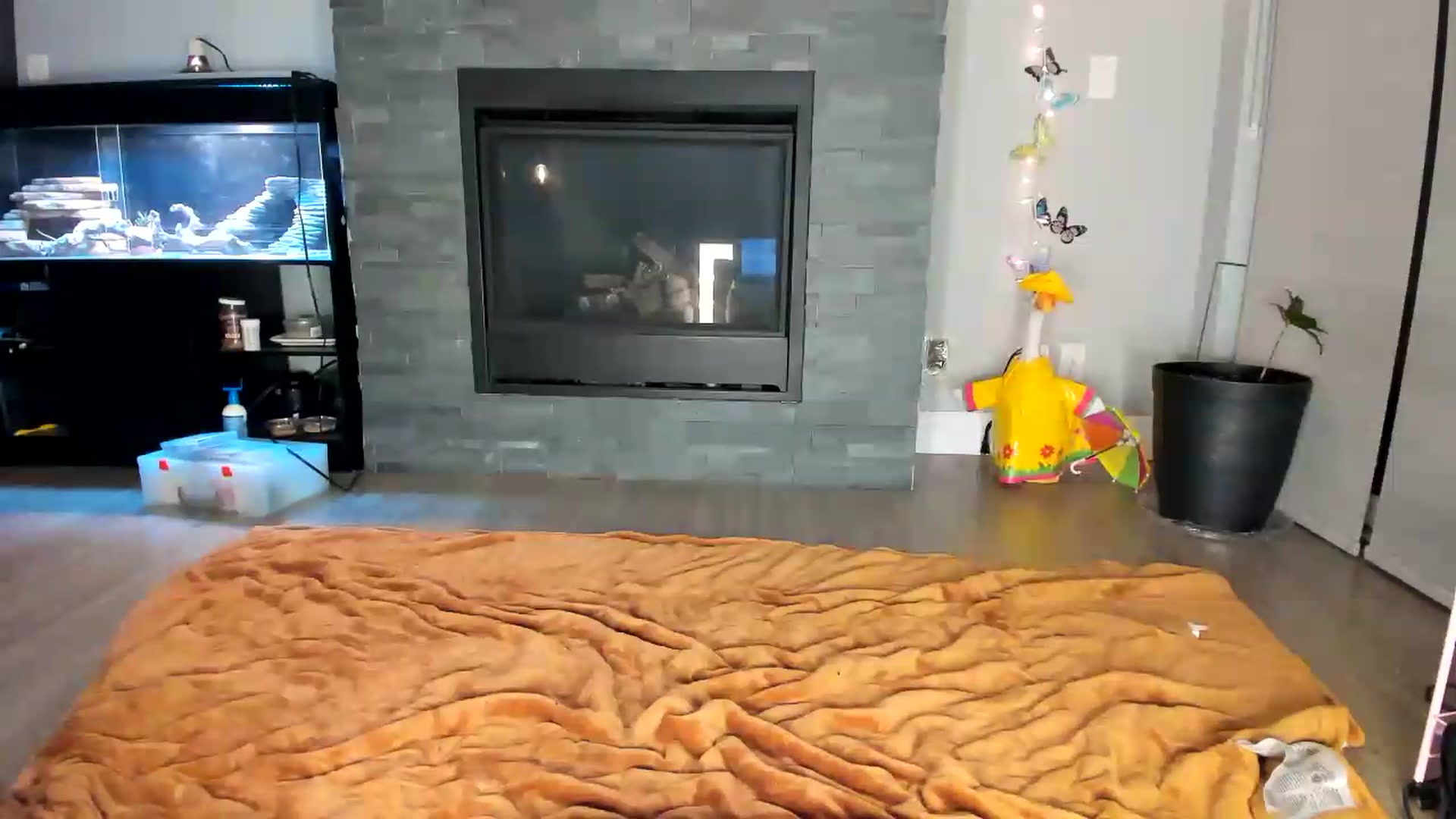 Gallery image thumbnail from Laurel's myfreecams stream on, 06/22/2026, 05:47 image 9 of 20