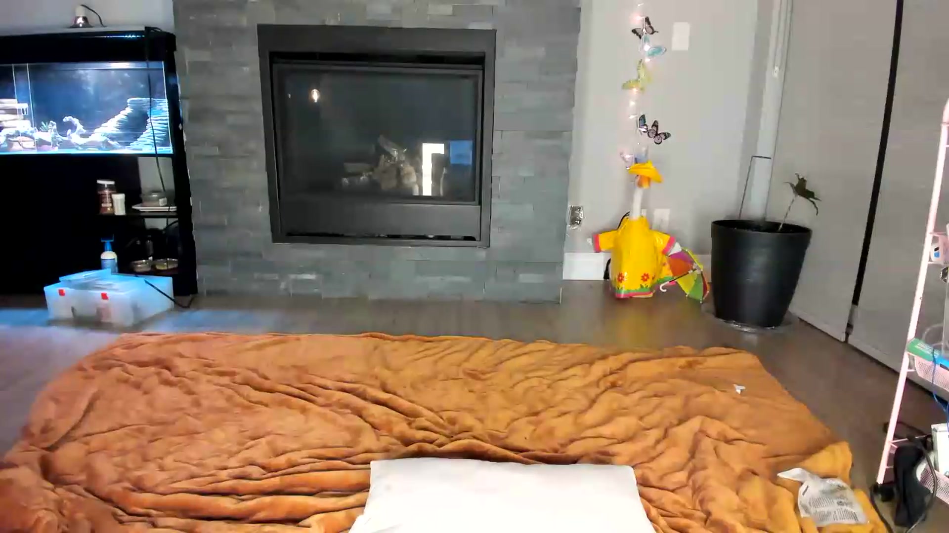 Gallery image thumbnail from Laurel's myfreecams stream on, 06/22/2026, 05:47 image 14 of 20