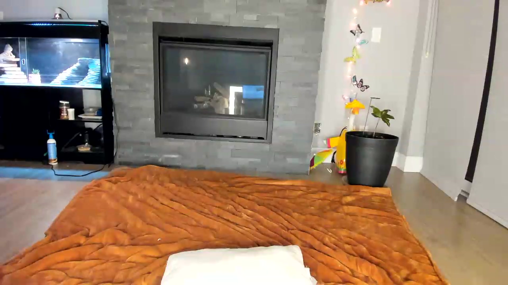Gallery image thumbnail from Laurel's myfreecams stream on, 07/01/2026, 04:44 image 5 of 20