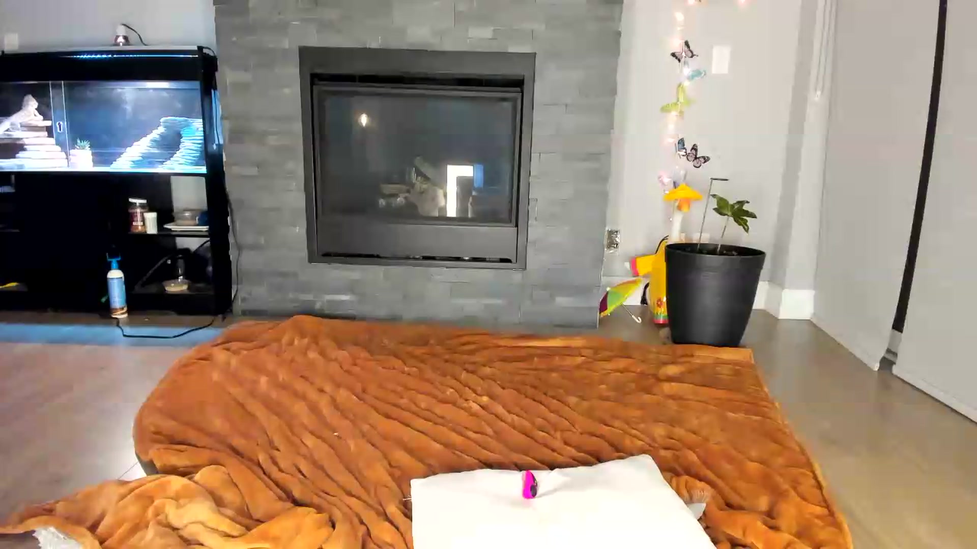 Gallery image thumbnail from Laurel's myfreecams stream on, 07/01/2026, 04:44 image 20 of 20