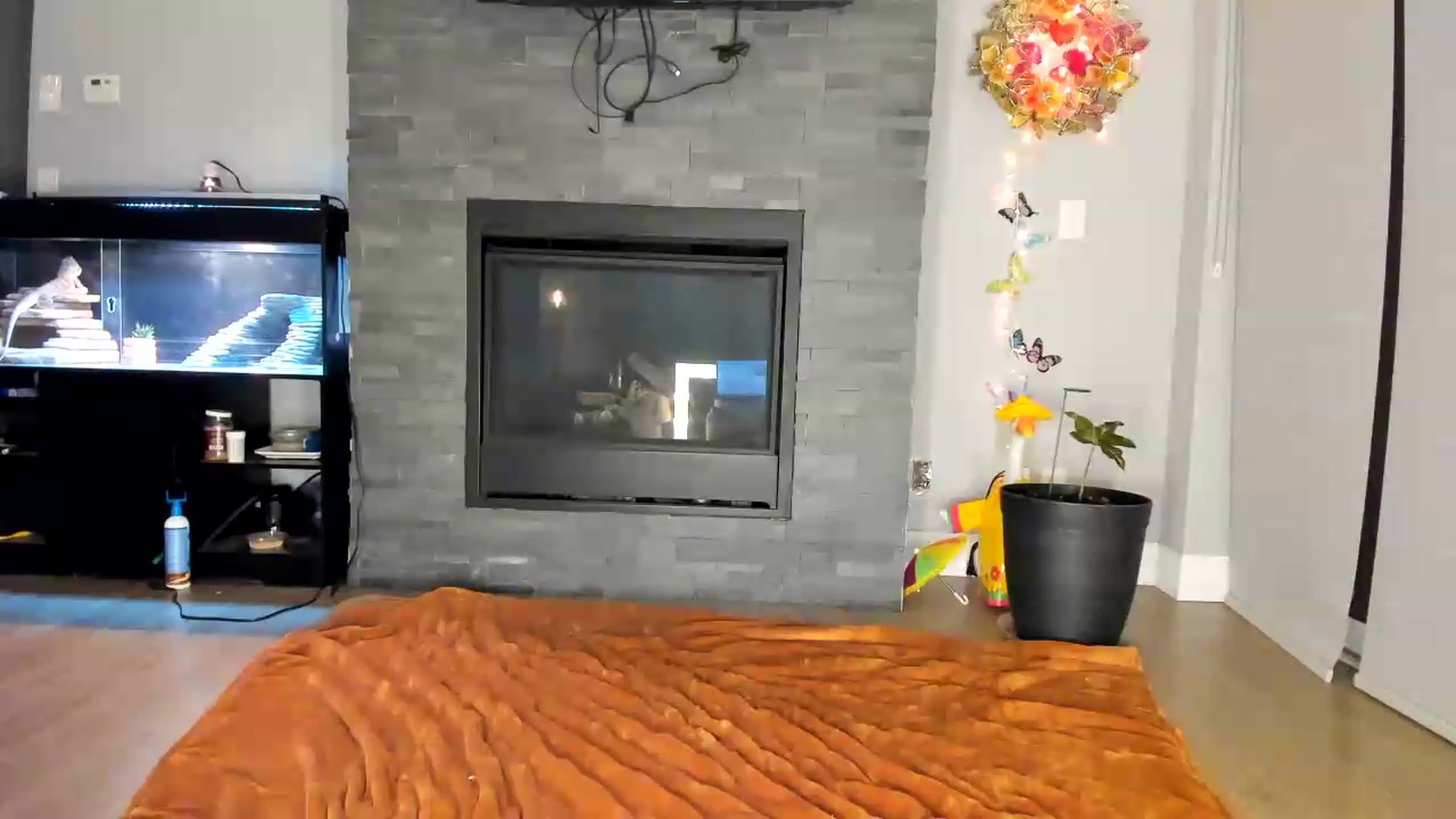 Gallery image thumbnail from Laurel's myfreecams stream on, 07/01/2026, 04:44 image 12 of 20