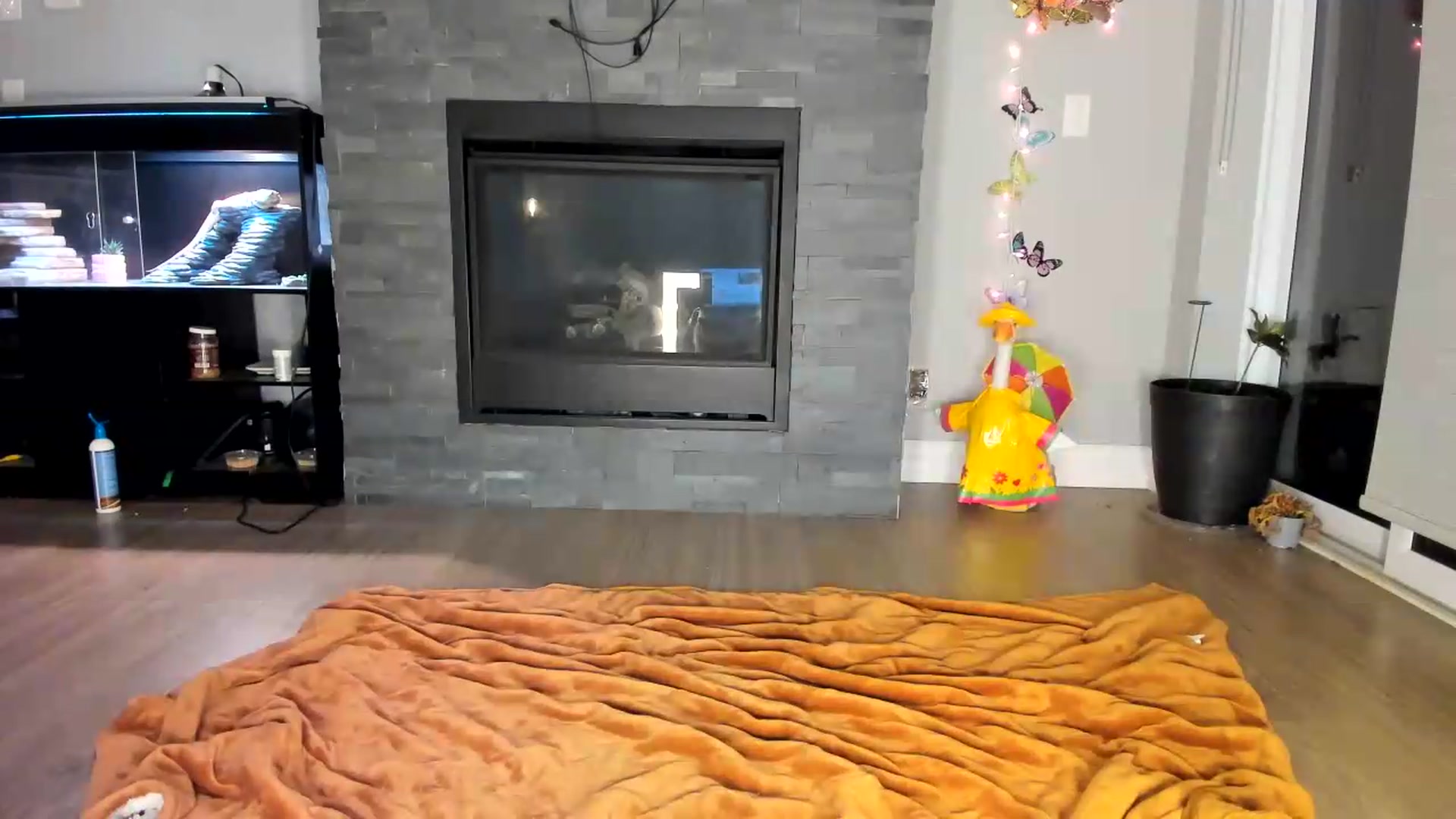 Gallery image thumbnail from Laurel's myfreecams stream on, 07/16/2026, 04:48 image 3 of 20